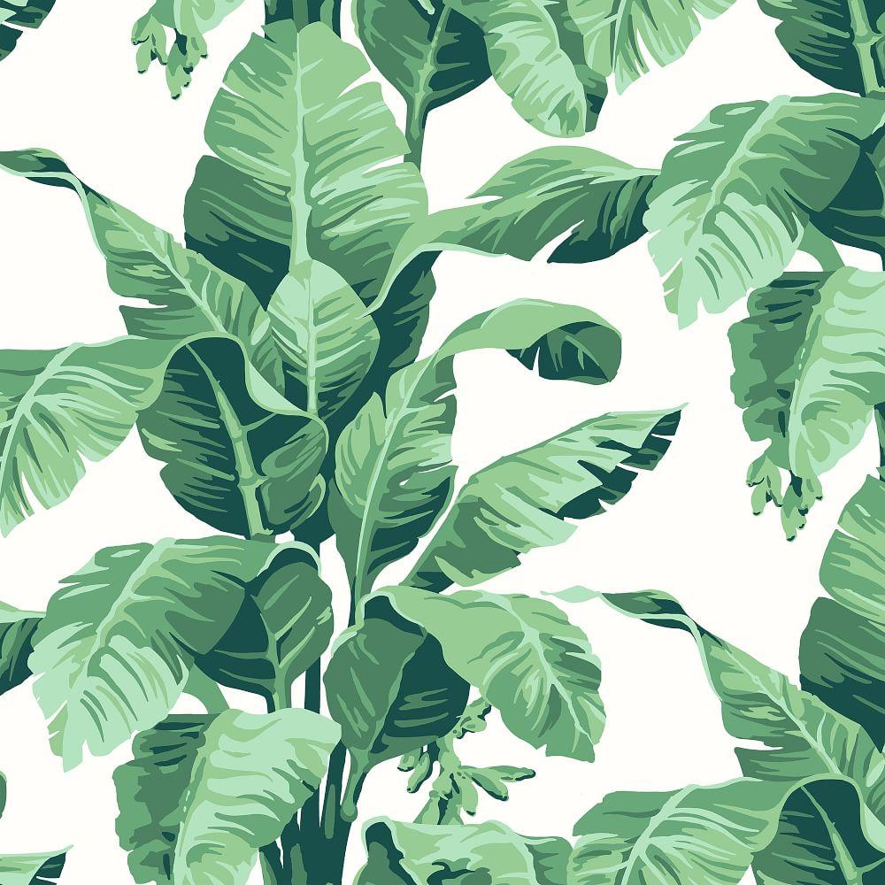 1000x1000 Wallshoppe Tropical Leaf Print Removable Wallpaper