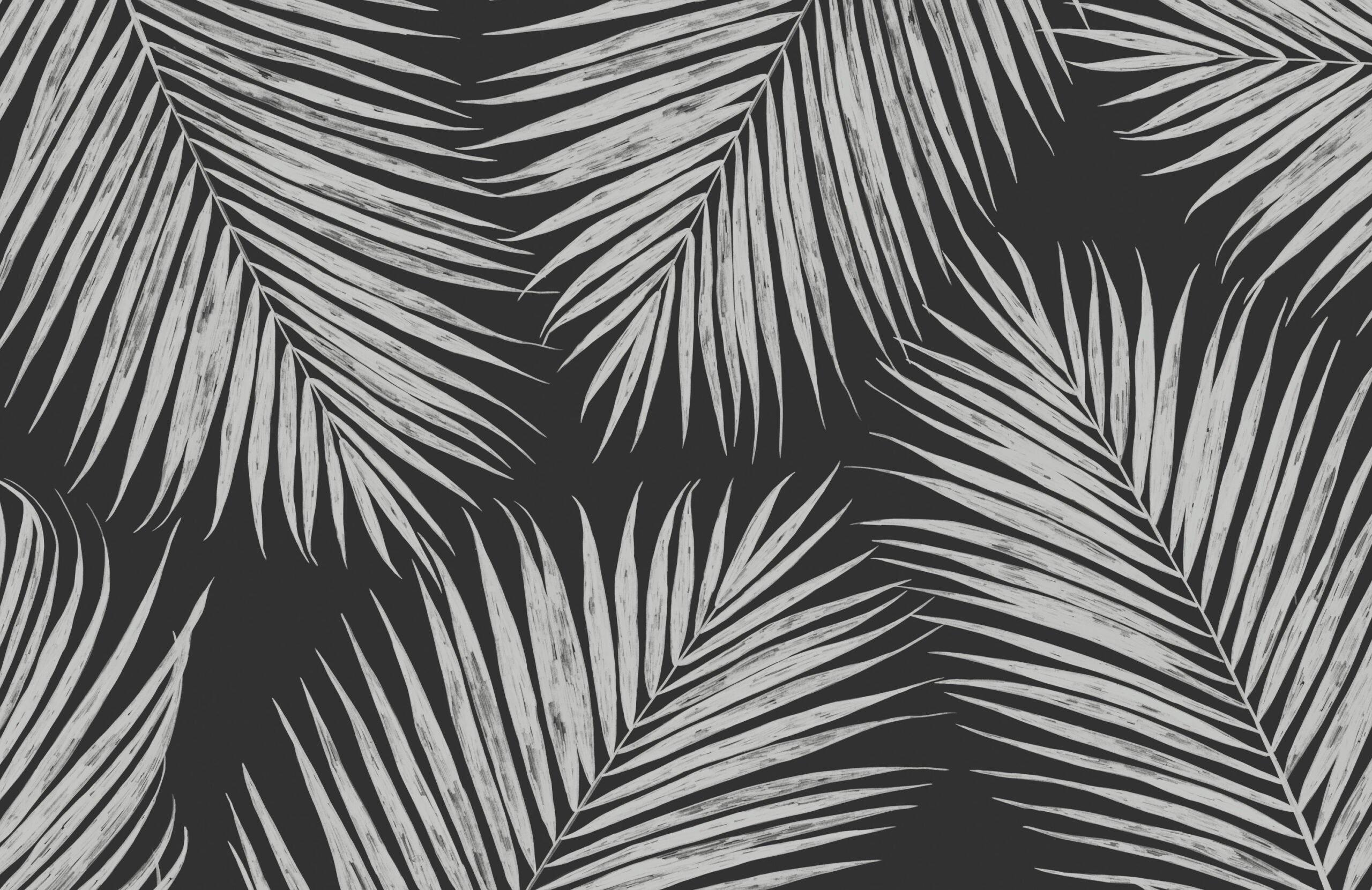 Black Tropical Wallpapers - Top Free Black Tropical Backgrounds ...