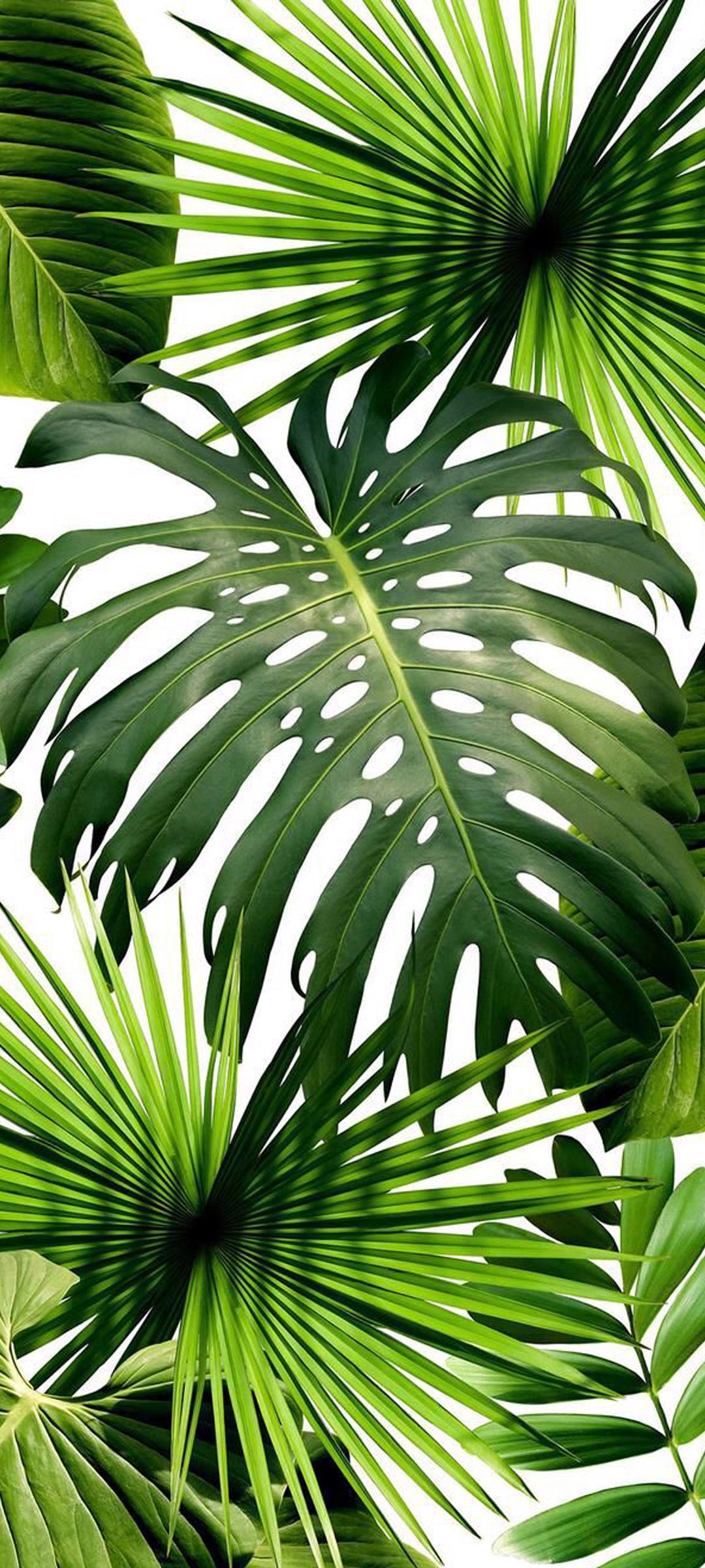 1080x2400 Cool Phone Wallpaper for Xiaomi Redmi Note 9 Pro 5G
