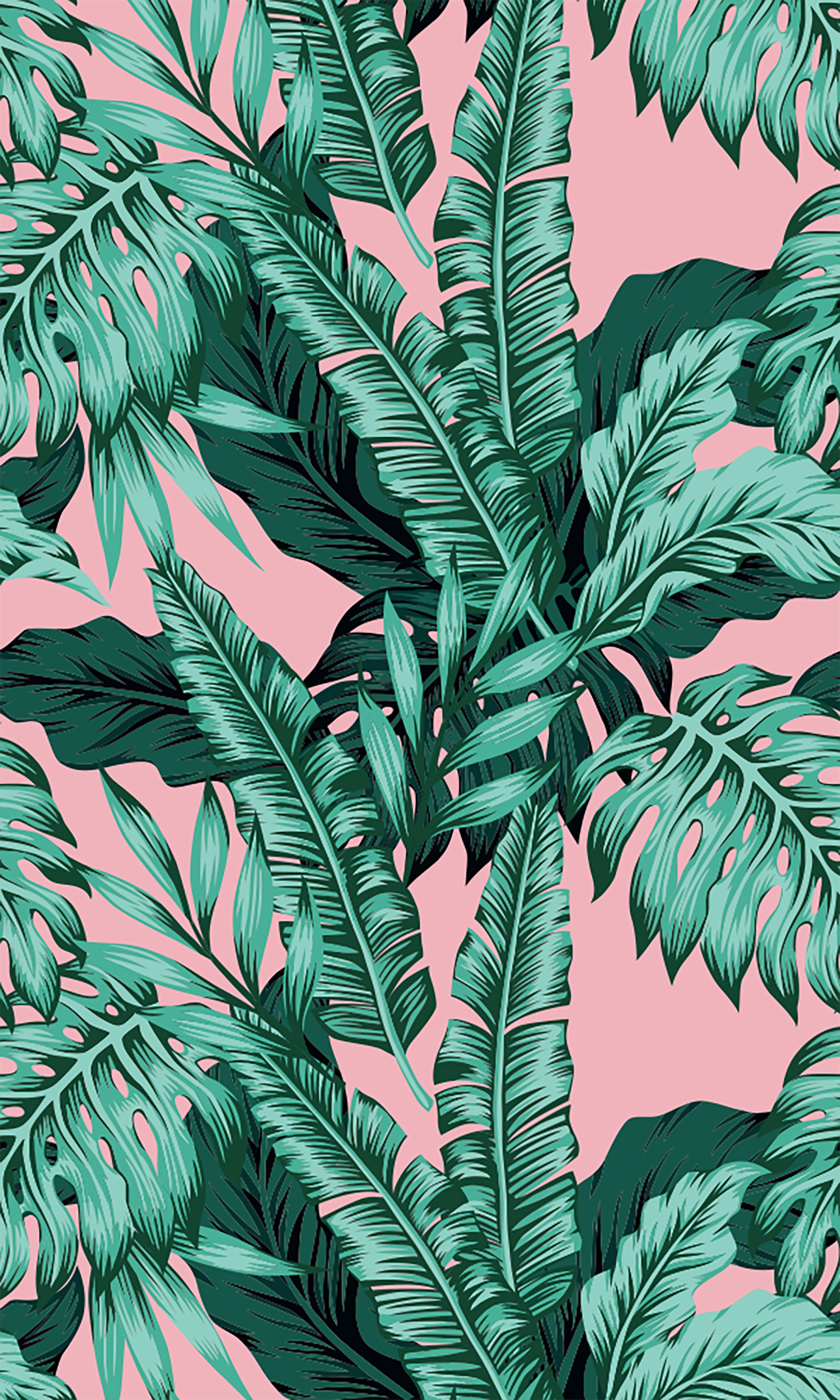 1800x3000 Tropical Pink Background. Cute background, Background, Phone background