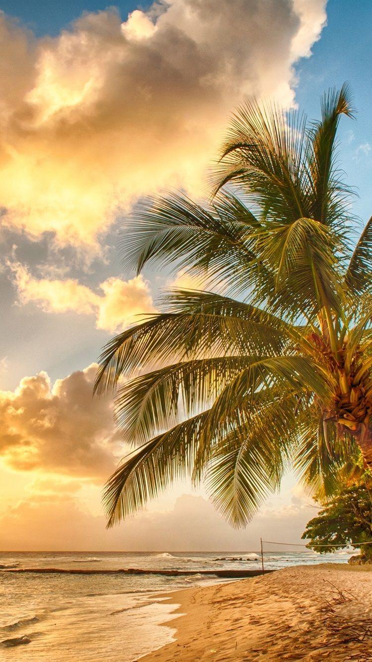 750x1334 IPhone Wallpaper Tropical 23 Sunset Wallpaper For Phone