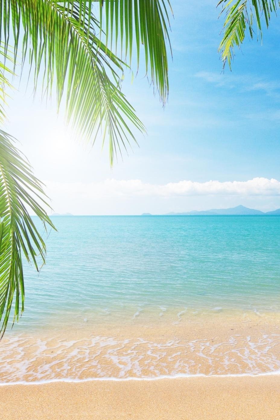 928x1391 Live Tropical Wallpaper