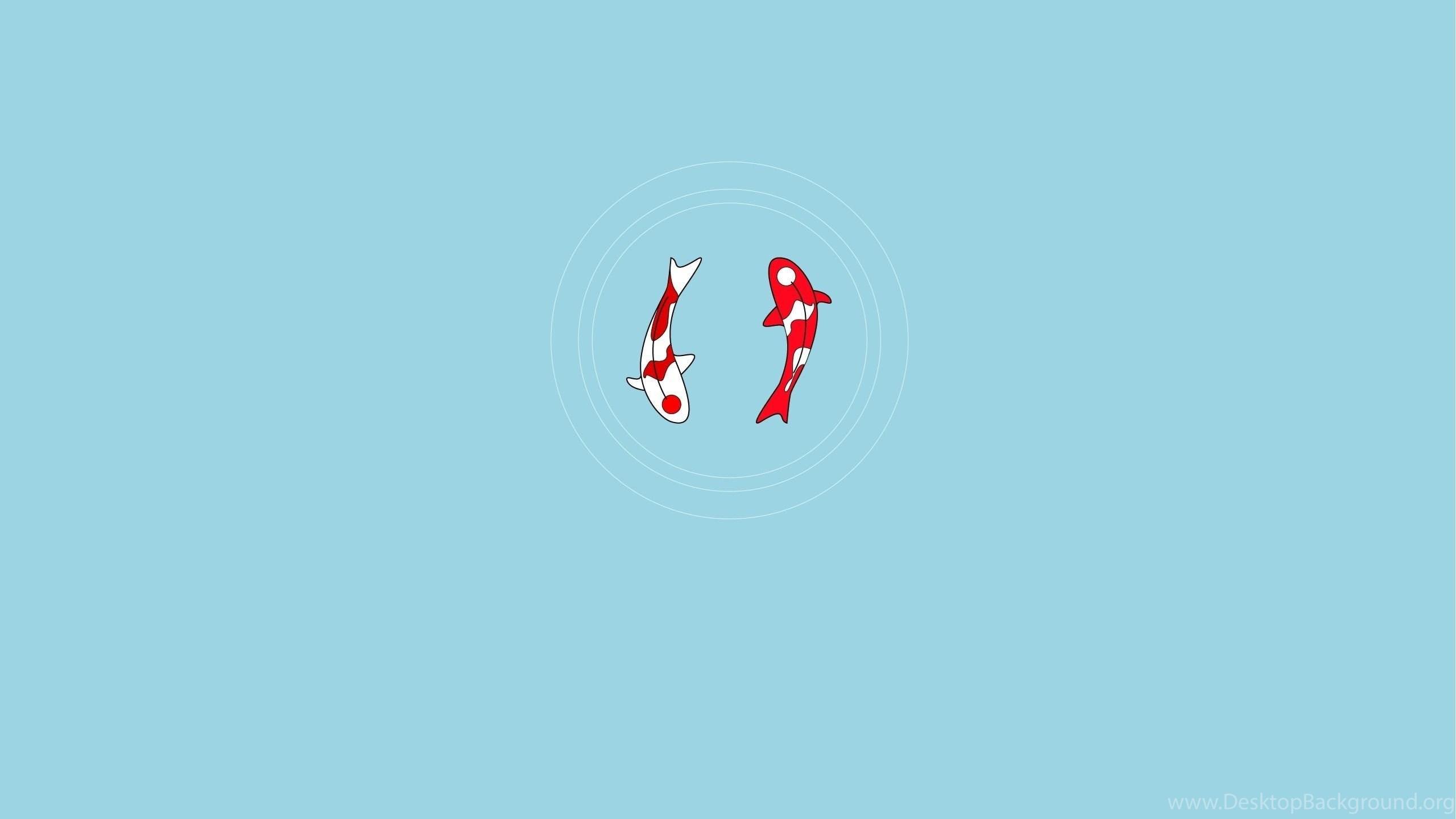2560x1440 Koi Fish Yin Yang Wallpaper Minimalistic Wallpaper Desktop Background