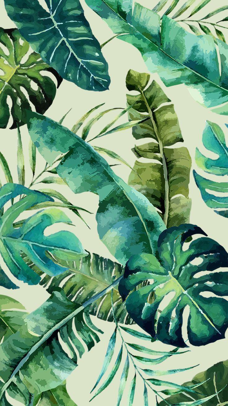 736x1308 Wallpaper Folhagens Tropicais by Gocase - #Folhagens #Gocase #Tropicais # Wallpaper. Phone wallpaper image, Tropical wallpaper, Green wallpaper
