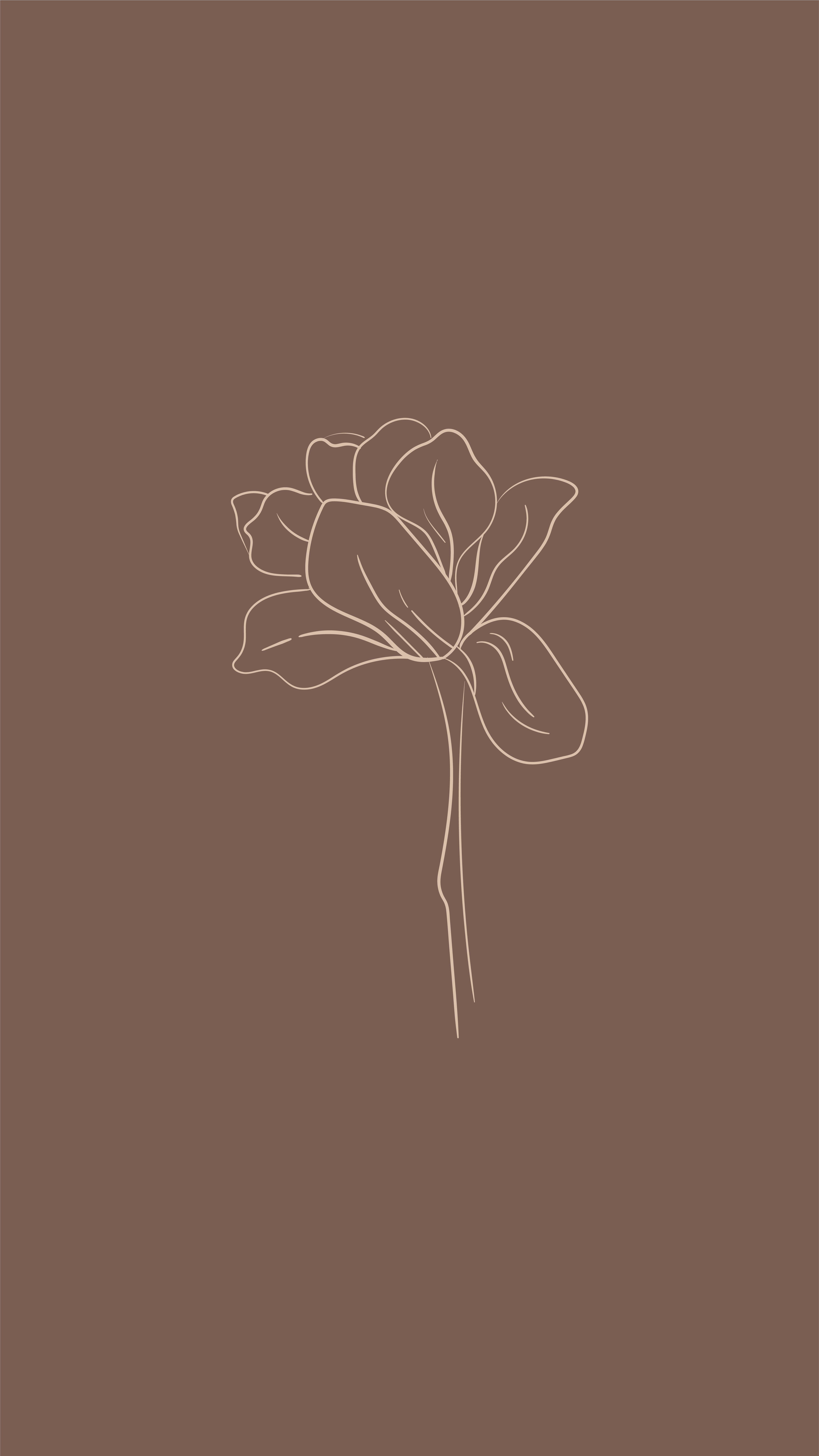 Minimalist Brown Wallpapers - Top Free Minimalist Brown Backgrounds -  WallpaperAccess