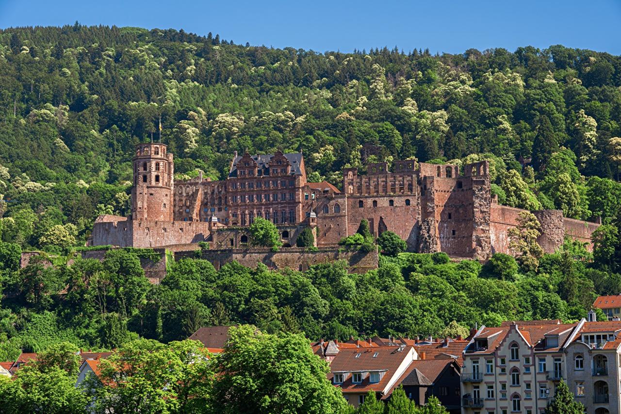 1280x853 image Germany Heidelberg castle forest Cities