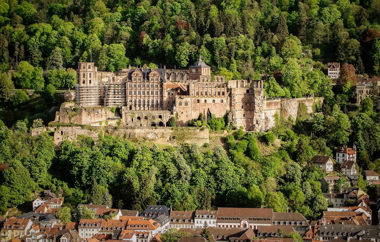 1332x850 Wallpaper forest, trees, castle, home, Germany, Heidelberg Castle image for desktop, section пейзажи