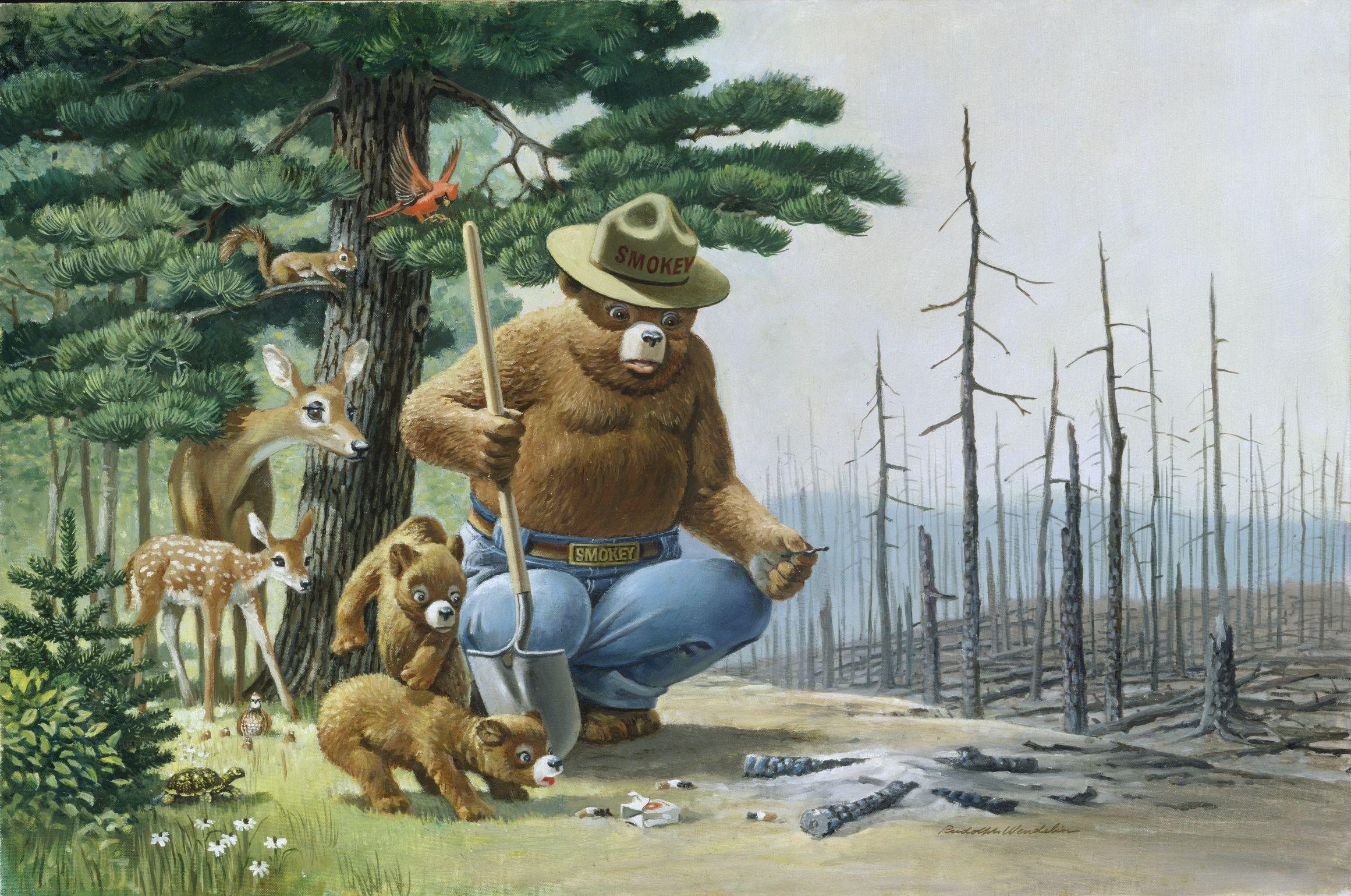 Smokey the Bear Wallpapers - Top Free Smokey the Bear Backgrounds