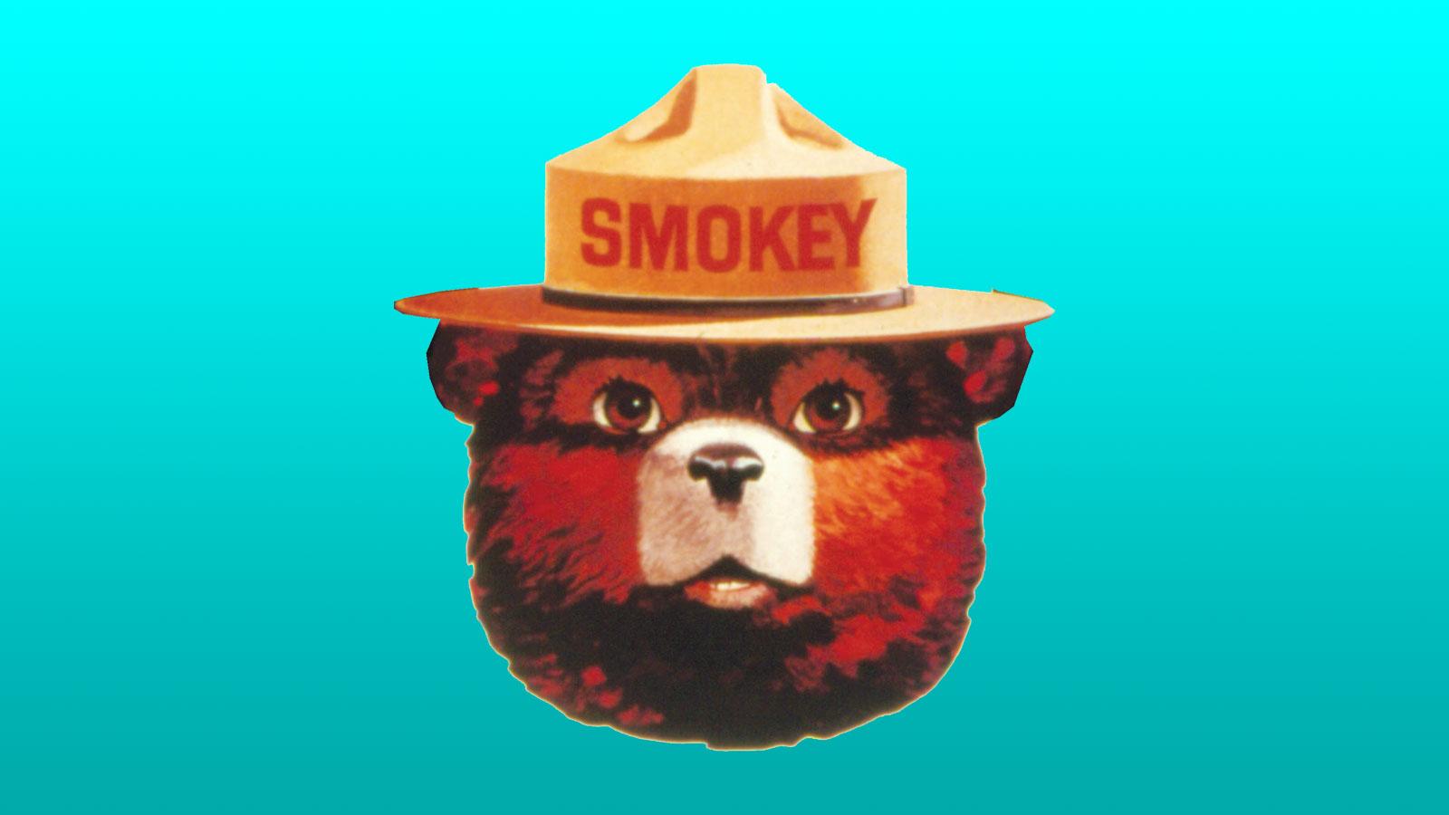 Smokey the Bear Wallpapers - Top Free Smokey the Bear Backgrounds