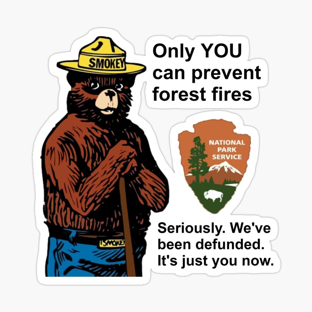 SMOKEY THE BEAR PREVENT FOREST FIRES PIN 1998 