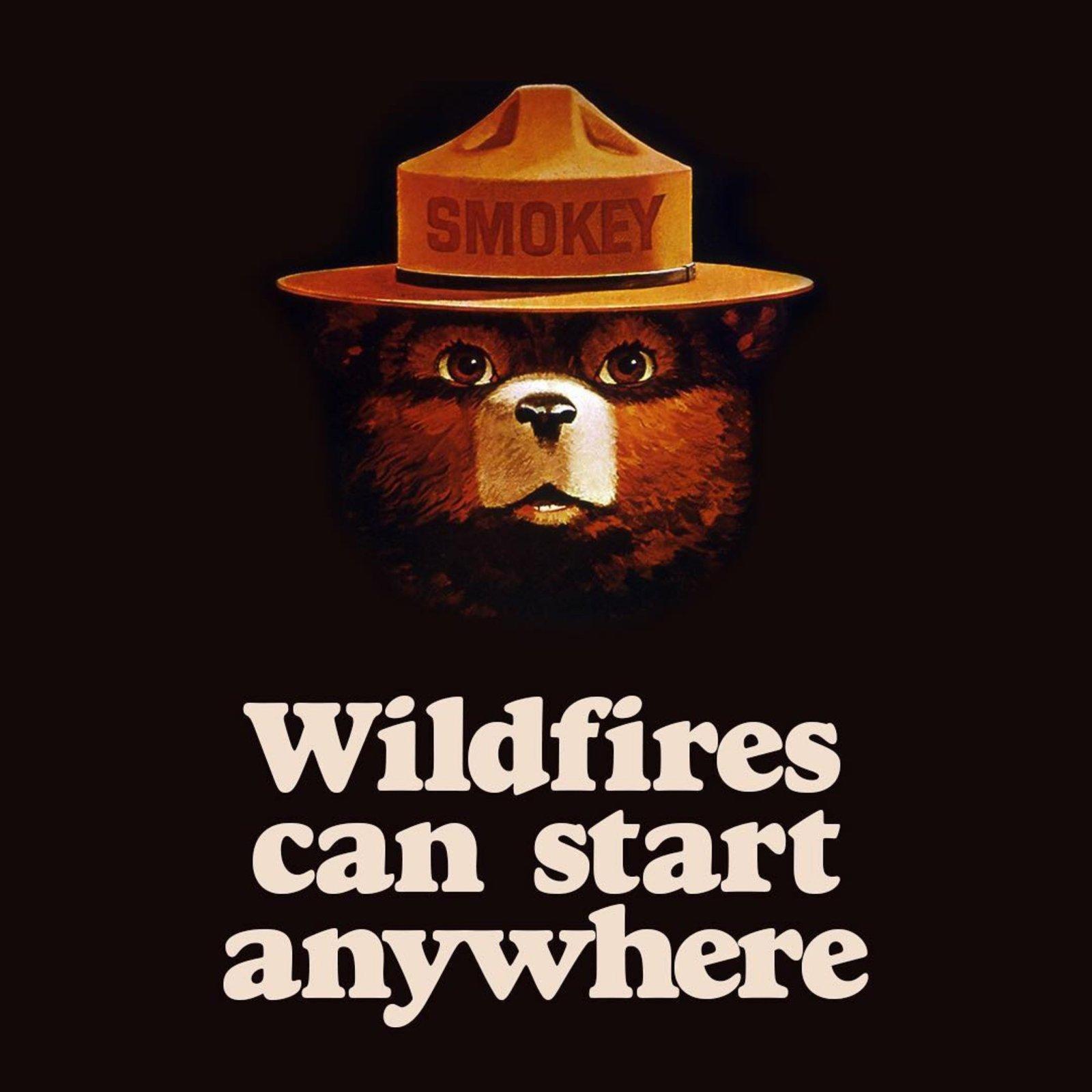 Smokey the Bear Wallpapers - Top Free Smokey the Bear Backgrounds ...