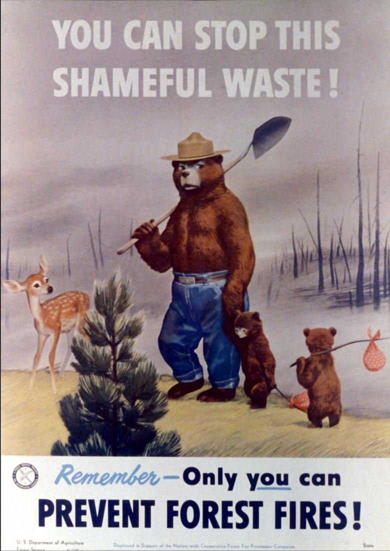 780x1103 Smokey Bear Mobile