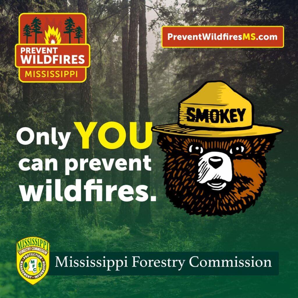 1024x1024 Fire Prevention & Smokey Bear. Mississippi Forestry Commission