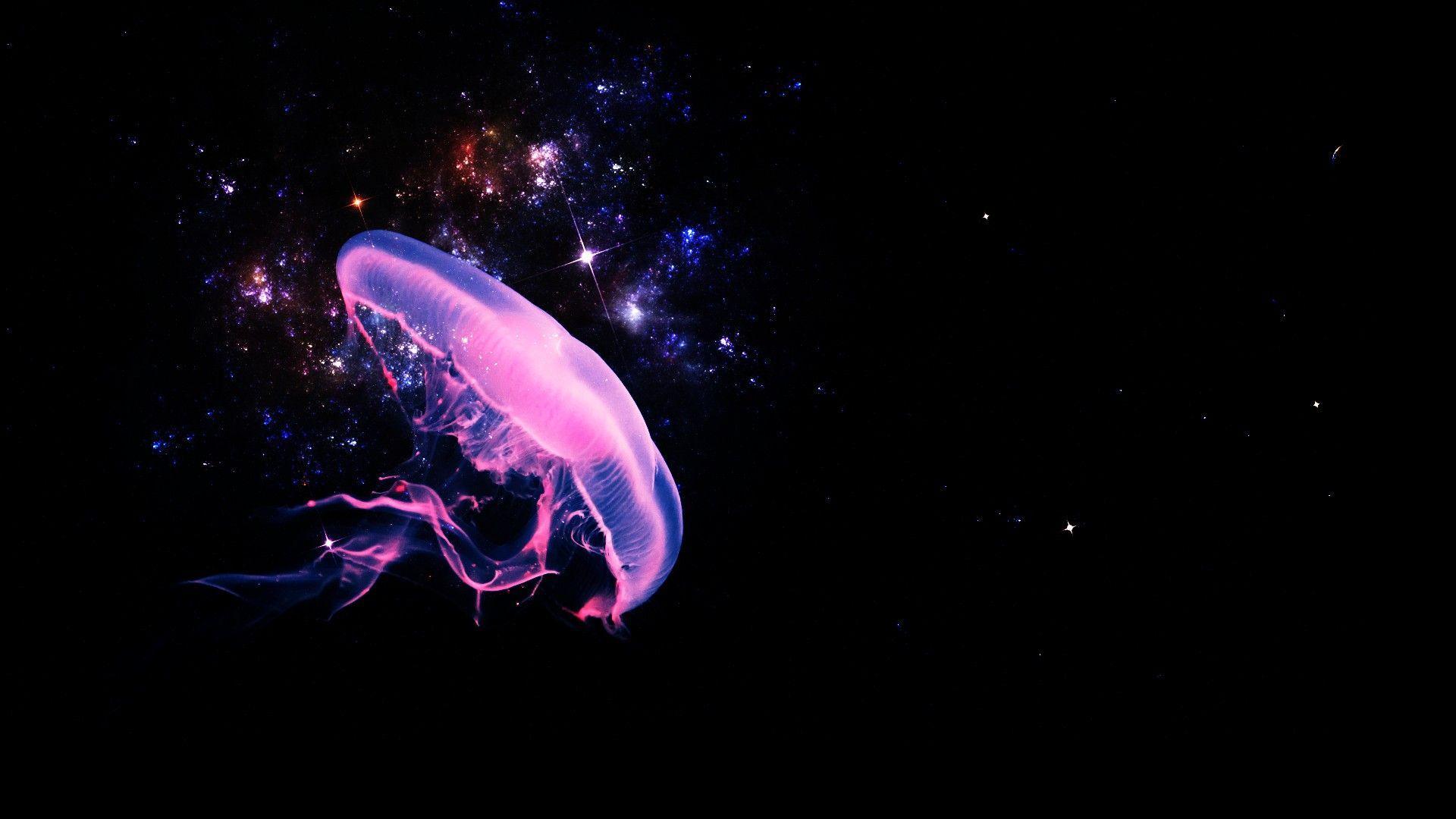 1920x1080 Glowing Jellyfish Wallpaper