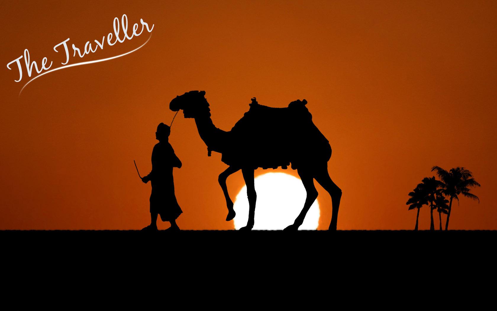1680x1050 Sunset camel desktop wallpaper