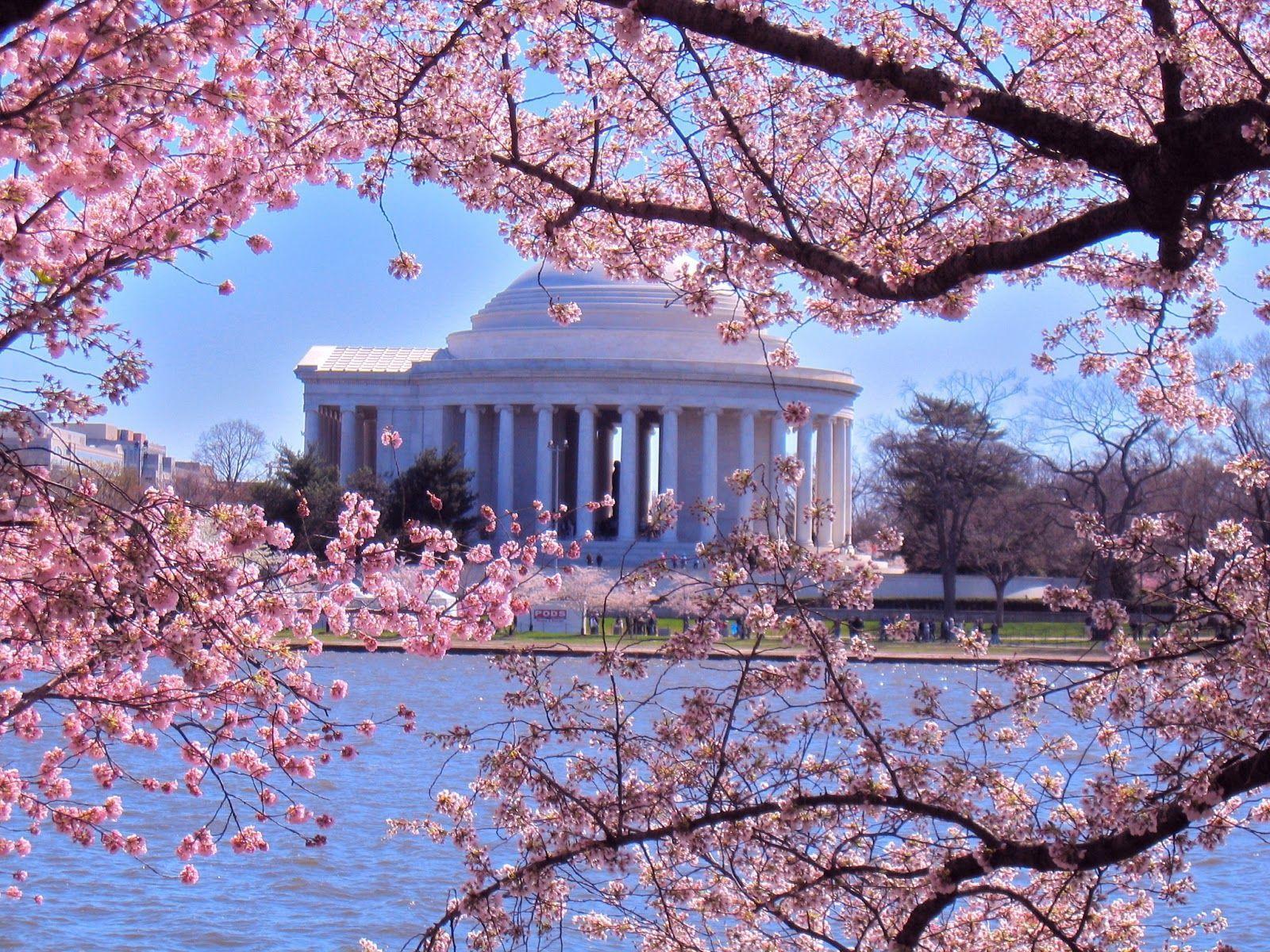 DC Spring Desktop Wallpapers - Top Free DC Spring Desktop Backgrounds ...