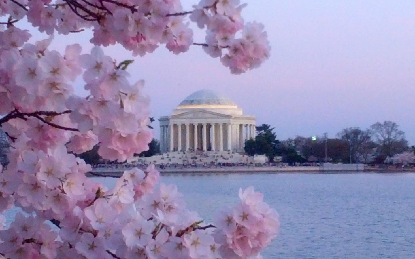 1440x900 Washington DC Spring Wallpaper