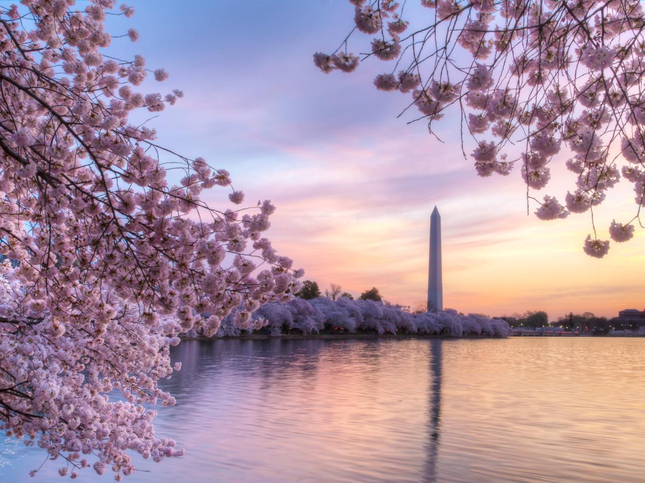 1280x960 Washington DC Spring Wallpaper