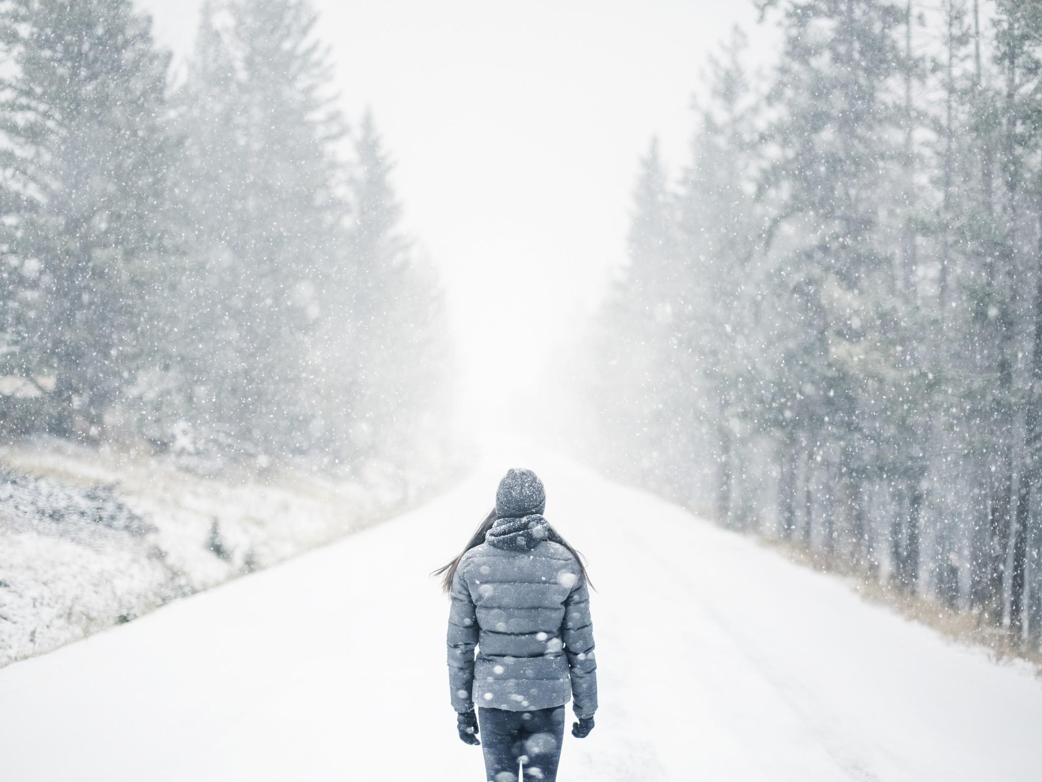 2048x1536 #looking away, #trees, #snow, #mist, #alone, #women, #brunette, # winter, wallpaper. Mocah HD Wallpaper
