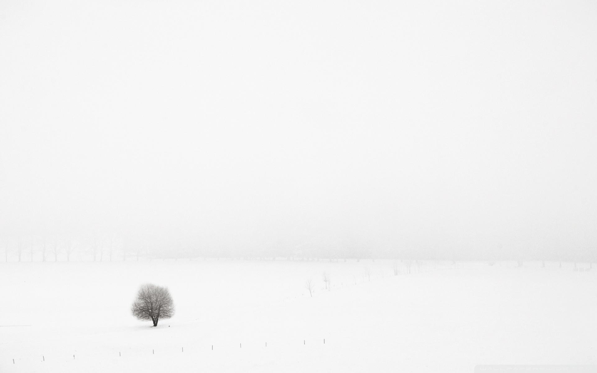 1920x1200 Winter Alone Ultra HD Desktop Background Wallpaper for 4K UHD TV : Tablet