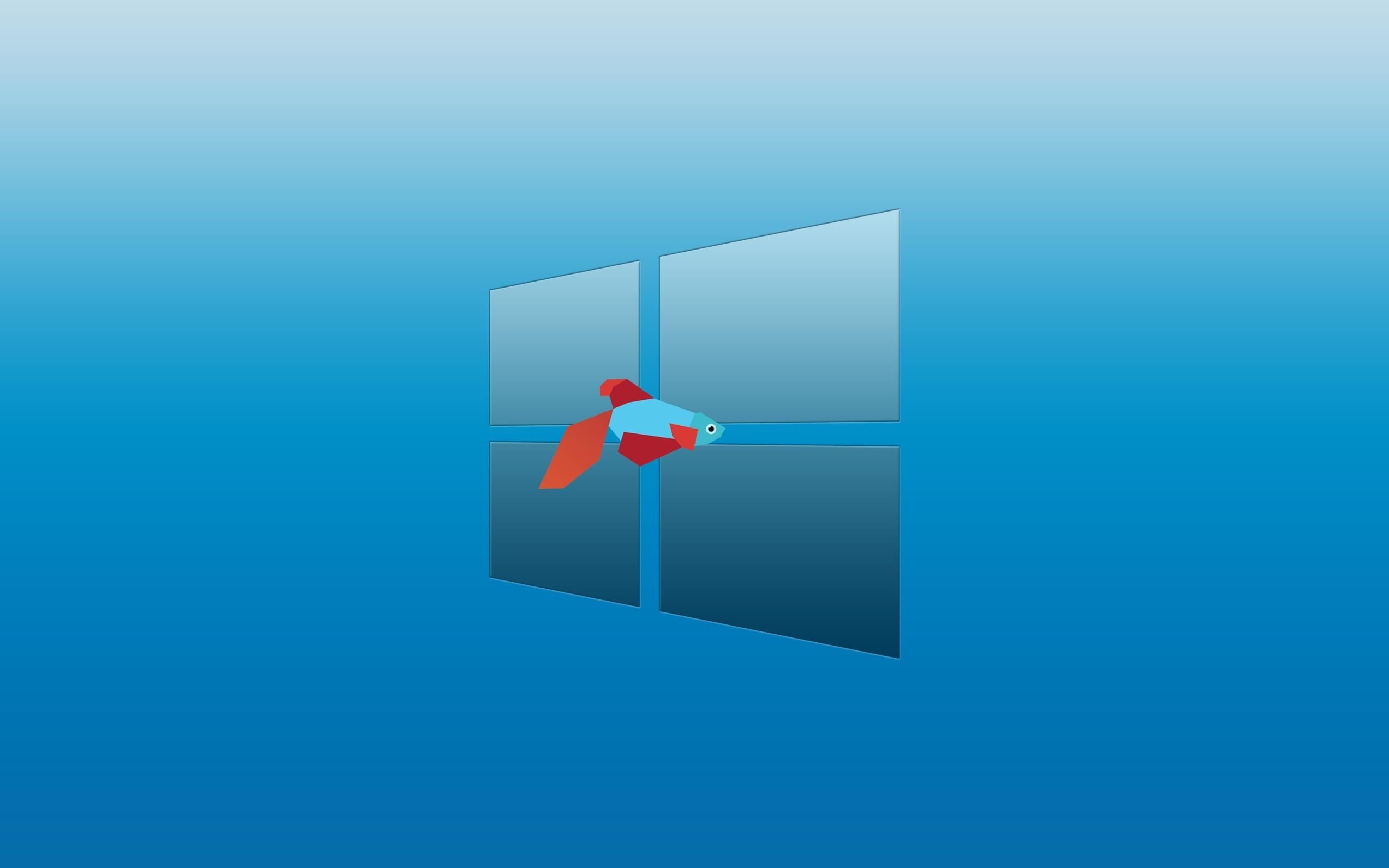 Windows 8 Desktop Wallpapers - Top Free Windows 8 Desktop Backgrounds ...