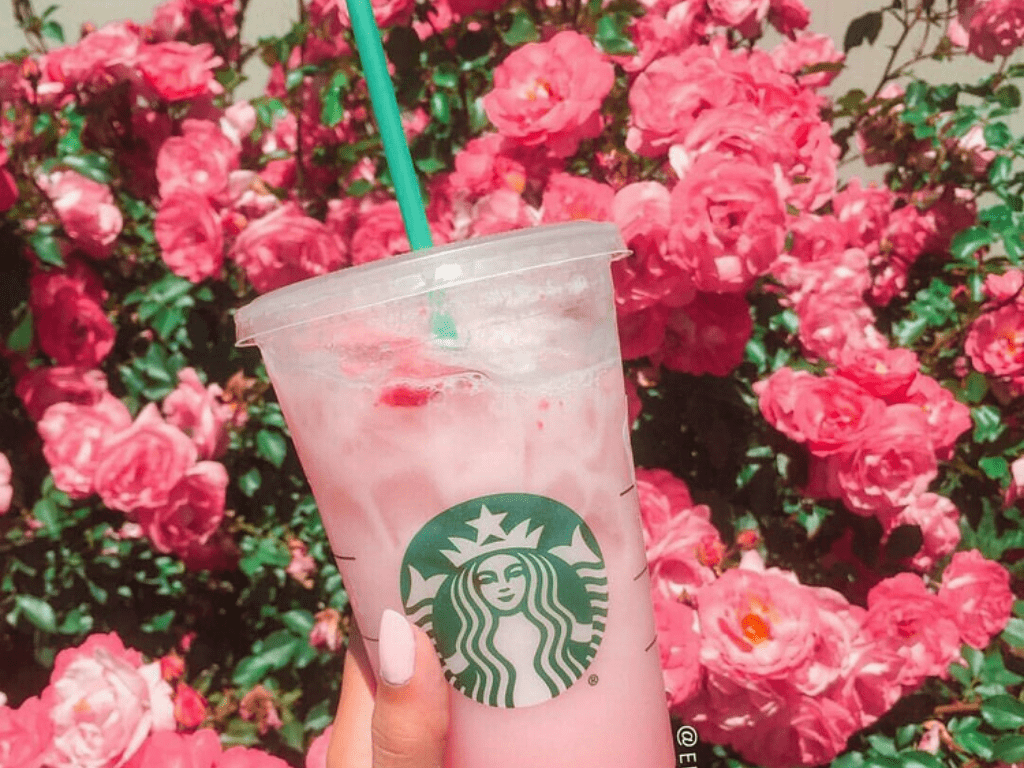 1024x768 Starbucks Rainbow Drink Wallpaper