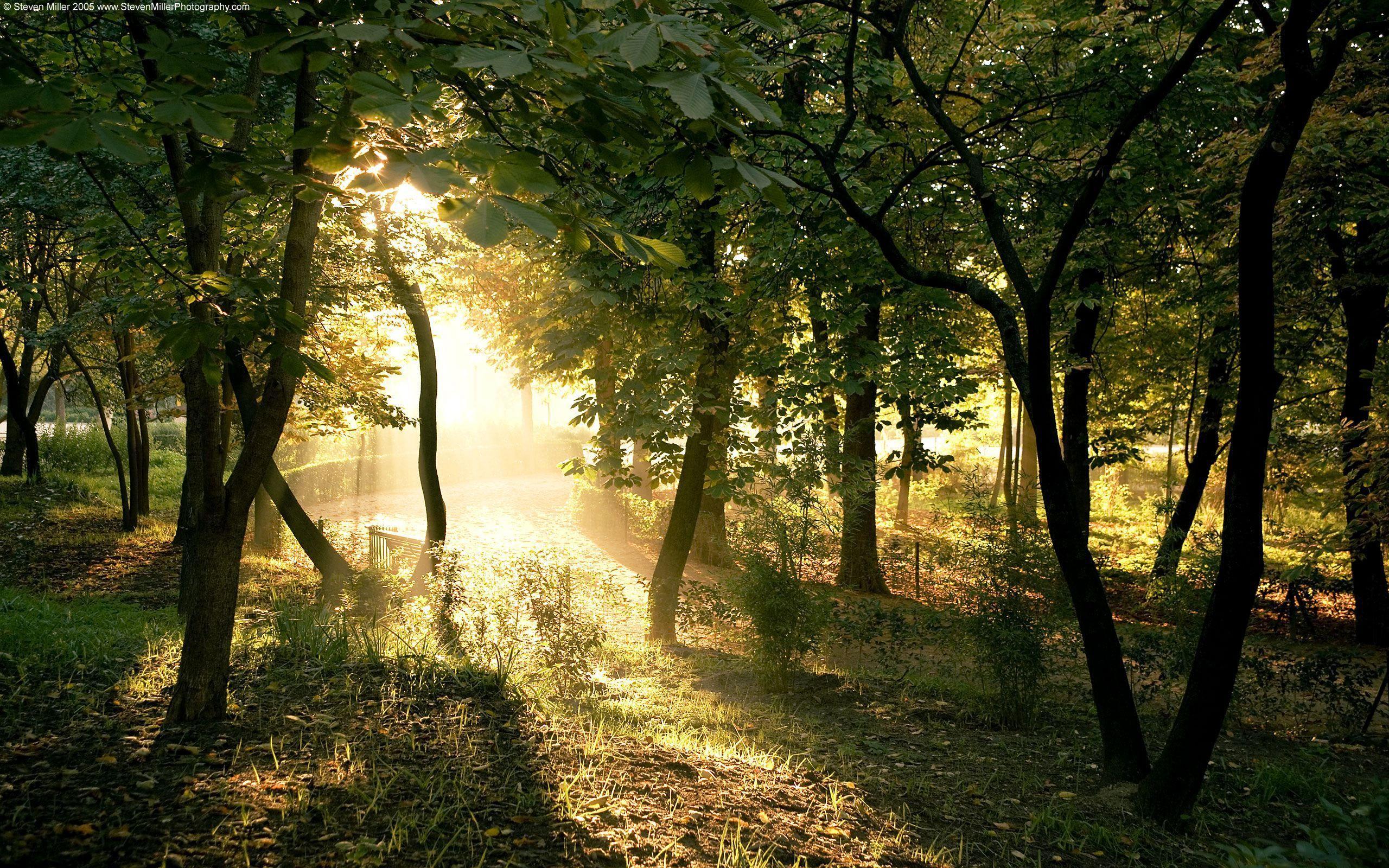 2560x1600 Send you 50 breathtaking nature wallpaper HD