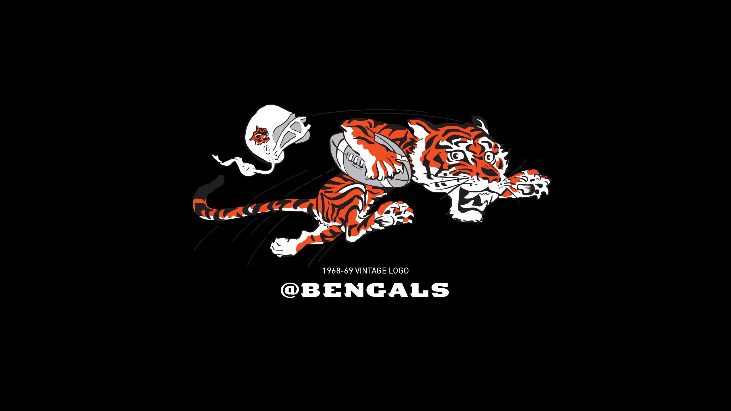 2568x1444 Cincinnati Bengals Fans