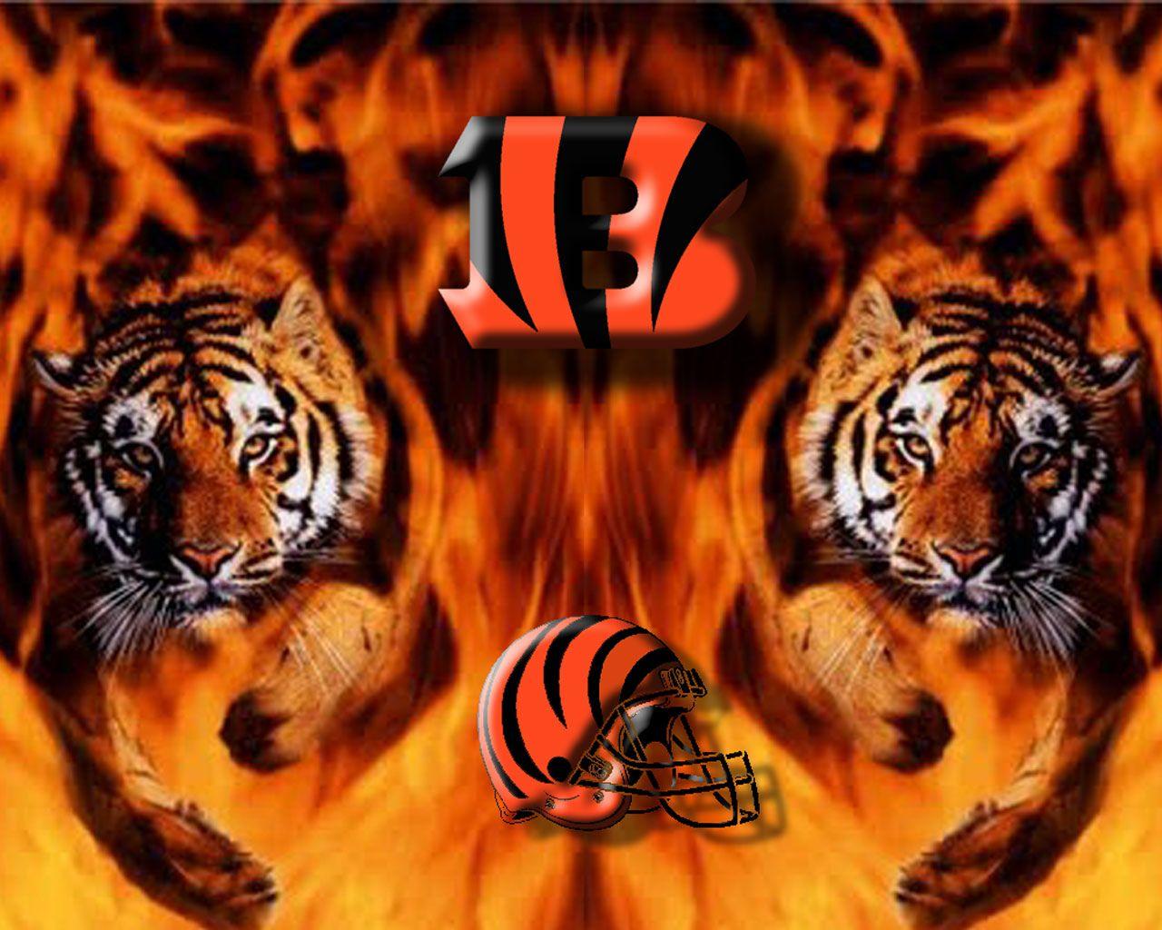 1280x1024 cincinnati bengalsb cincinnati bengals bengals will win the division this season that s. Cincinnati bengals, Bengals football, Bengals