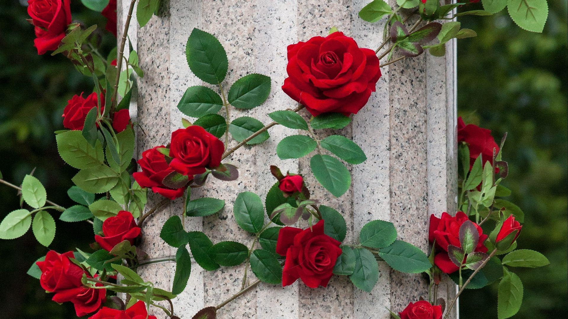 Paris Red Flowers Laptop Wallpapers - Top Free Paris Red Flowers Laptop