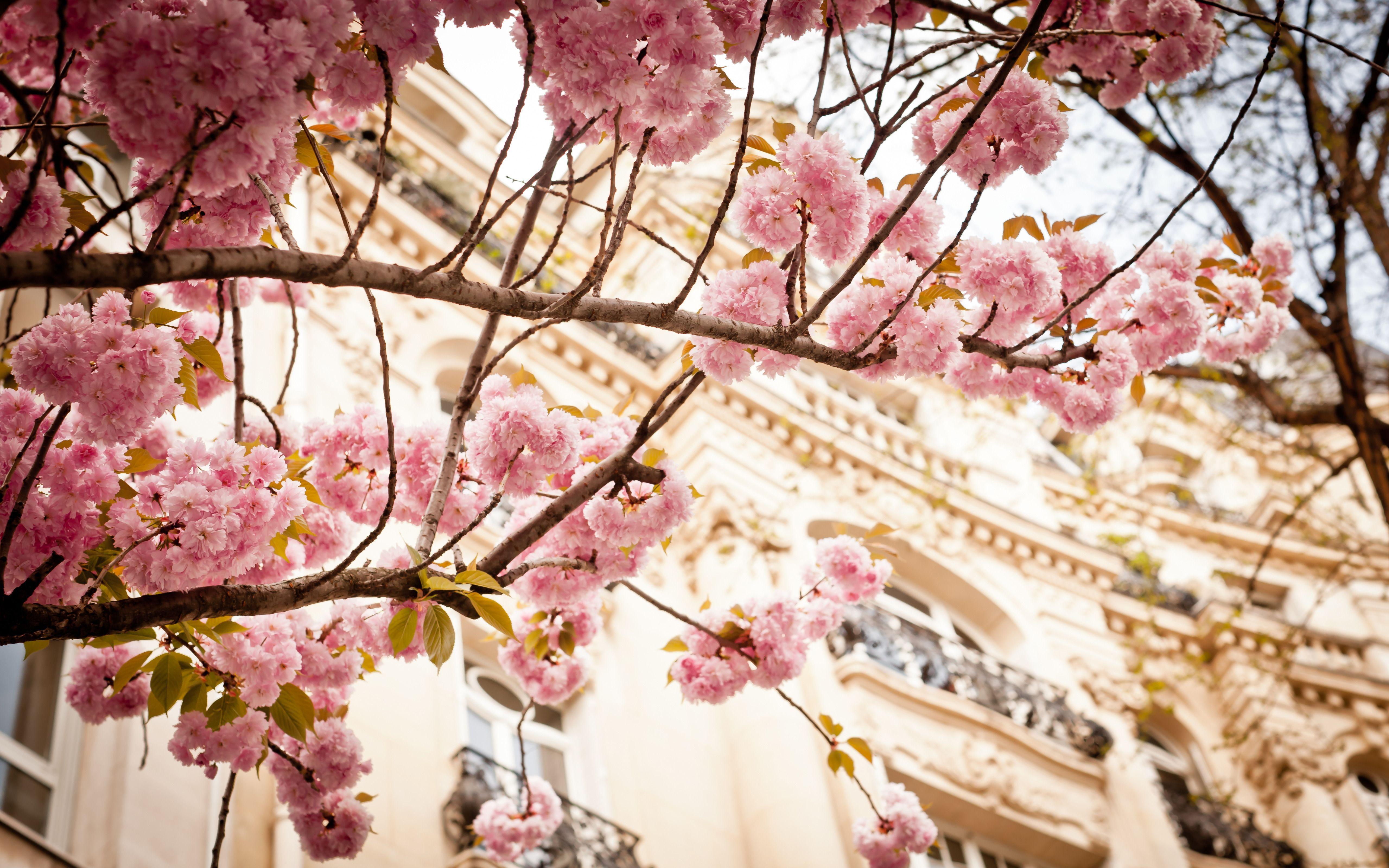 5119x3200 Paris Wallpaper For Desktop