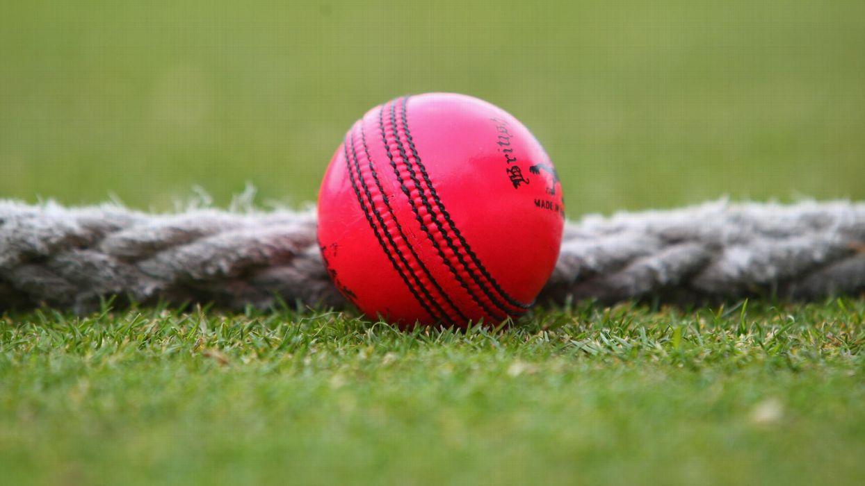 1244x700 Cricket Wallpaper