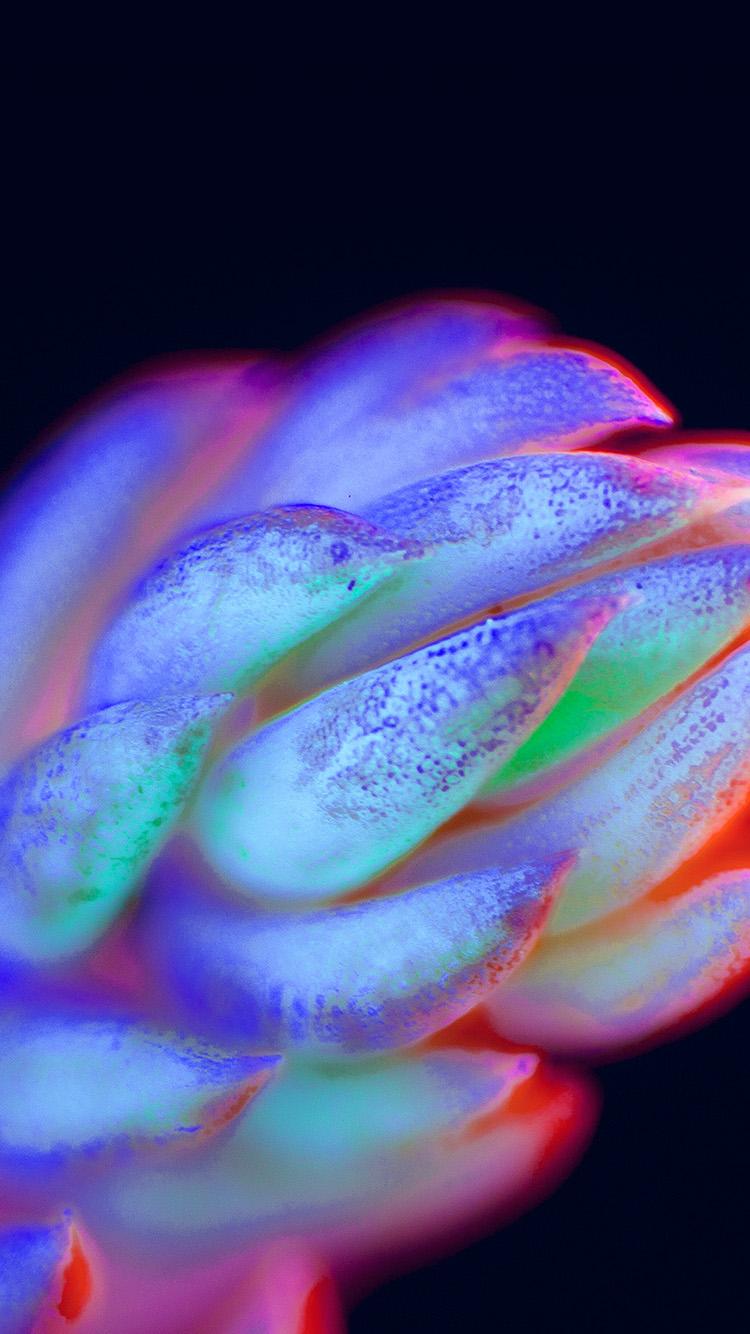 750x1334 iPhone X wallpaper. neon creature dark color flower art abstract