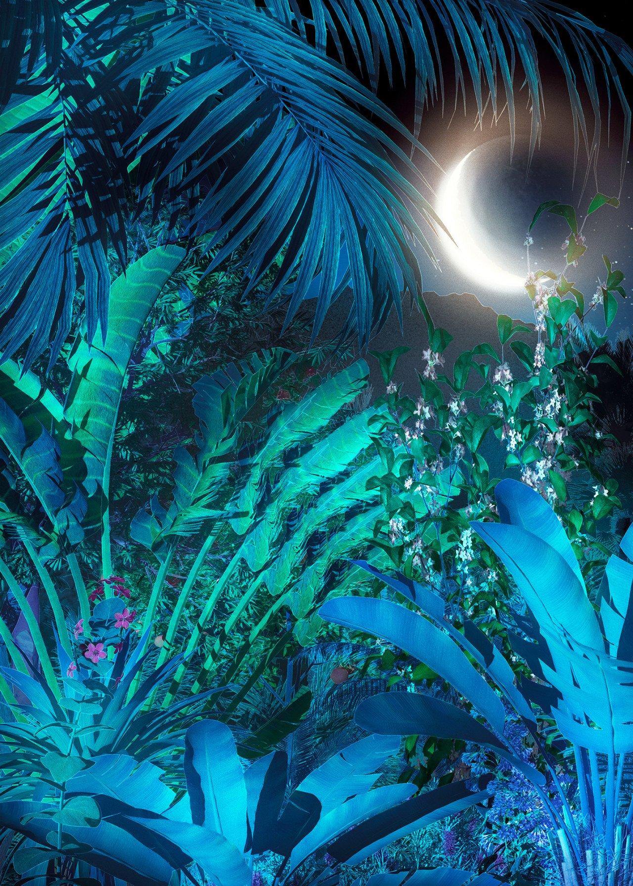 1280x1791 Blue Eclipse Mural Wallpaper: Jungle Wallpaper
