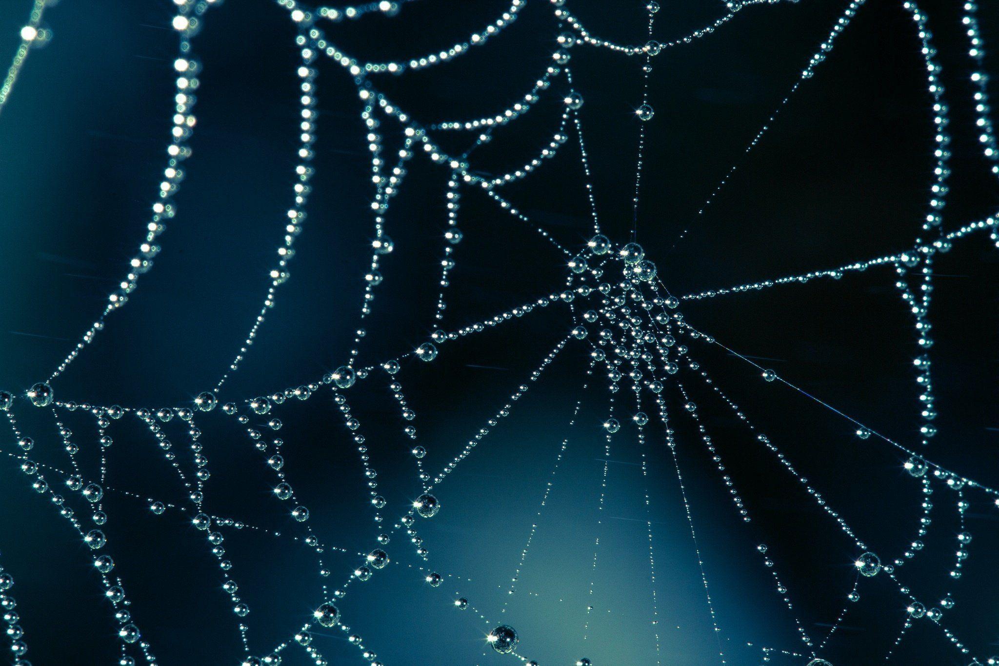 2048x1365 Spiderweb Wallpaper