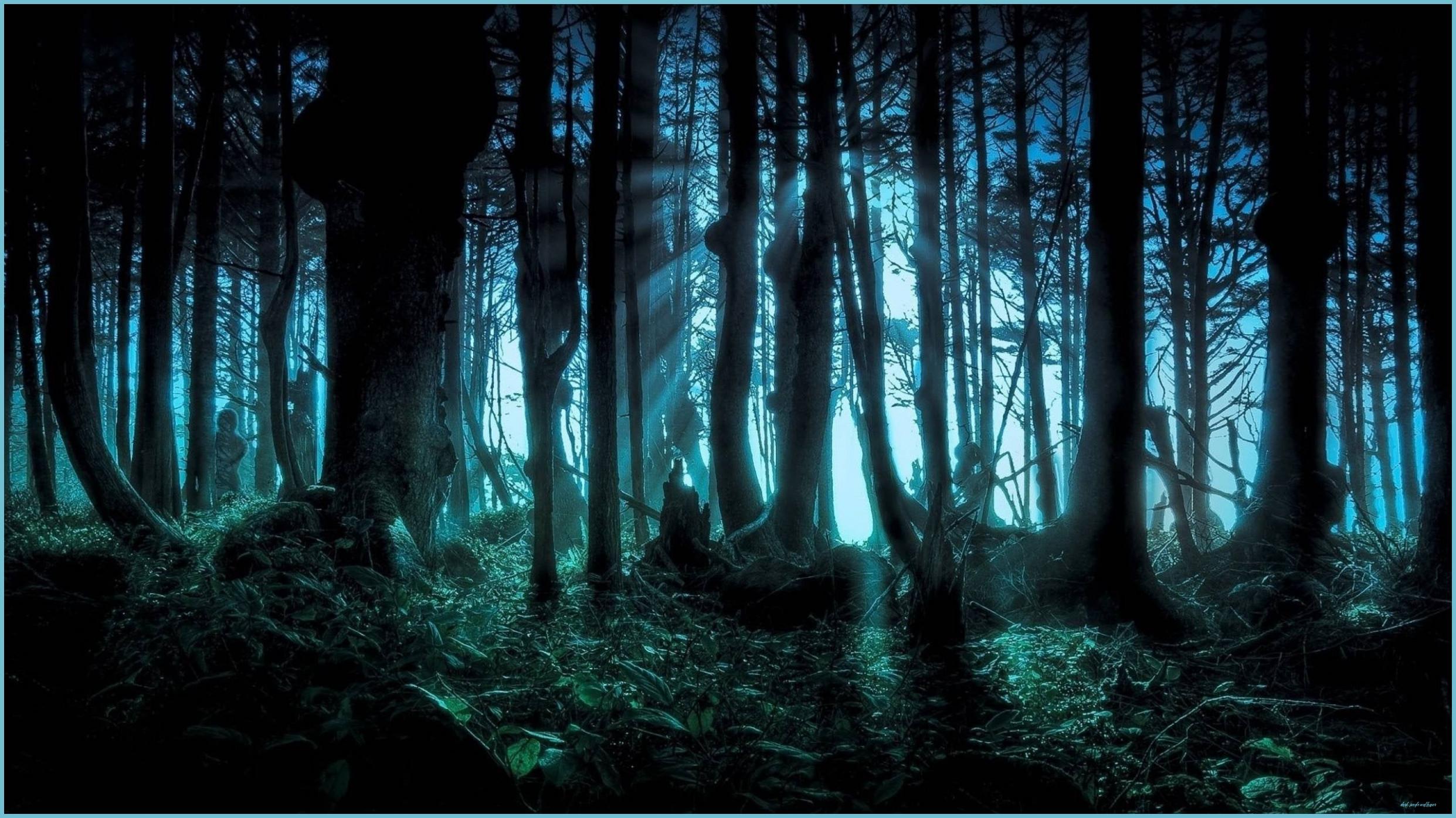 2483x1396 Dark Forest Wallpaper Free 10 X 10 Dark Jungle Wallpaper