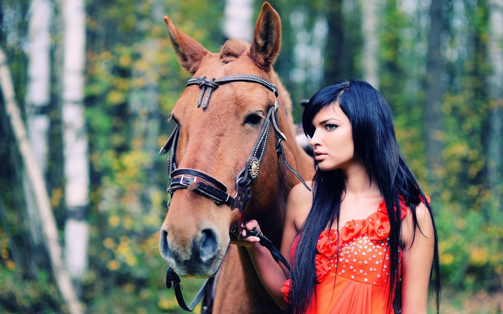 1600x1000 horse animal 2013 high resolution HD wallpaper free download 1080p. Wallpaper Extraordinary Gravity