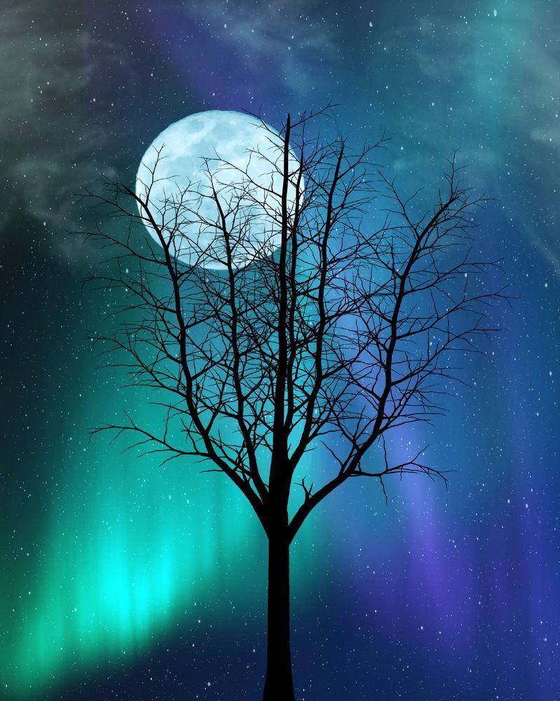 799x1000 Blue Moon Teal Northern Lights Wall Art Photo Print Tree Stars Sky Home Decor. eBay. Northern lights wall art, Art photo prints, Photo wall art