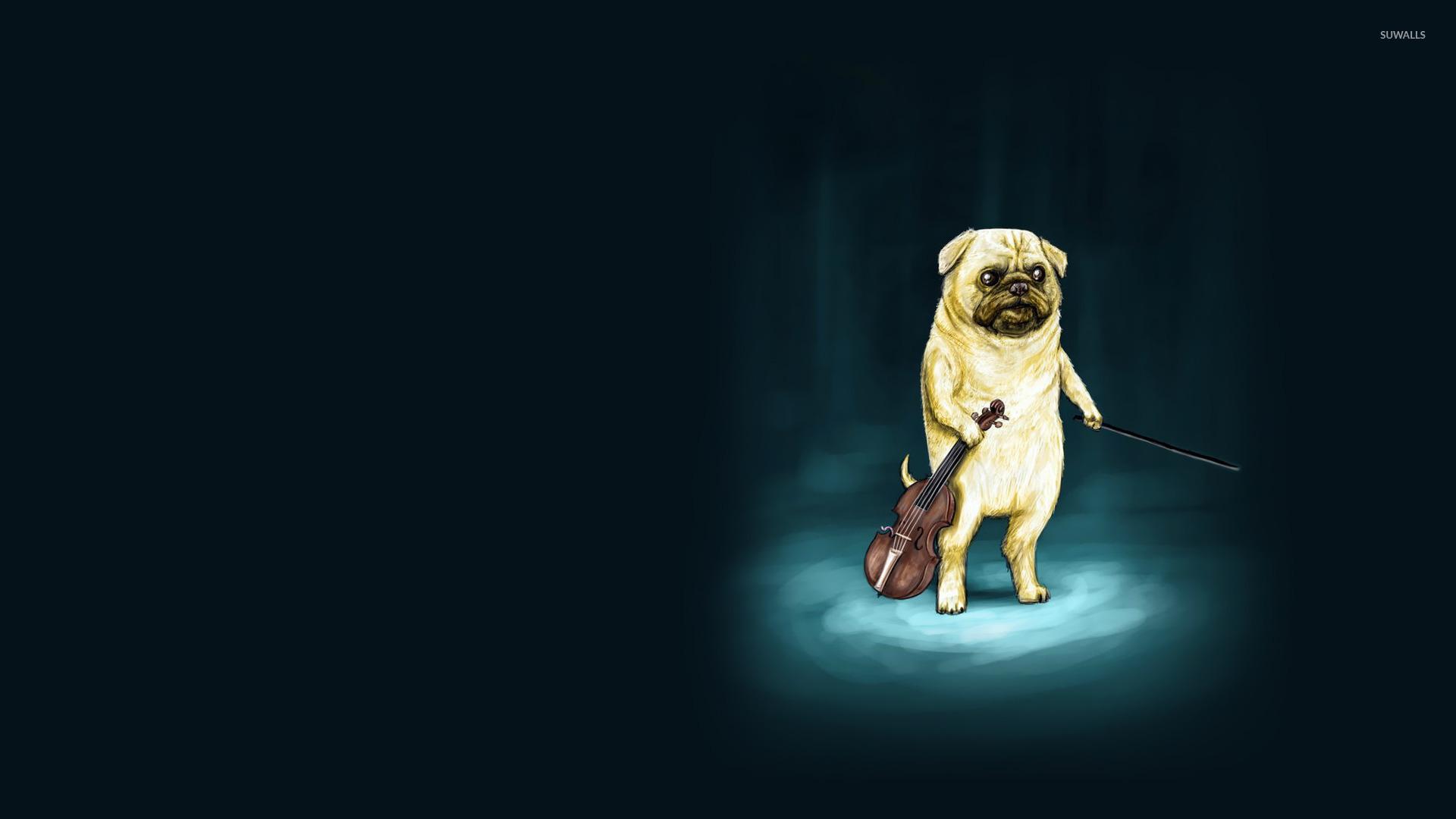 1920x1080 Awesome Funny Dog Free Background Id Dog HD Wallpaper