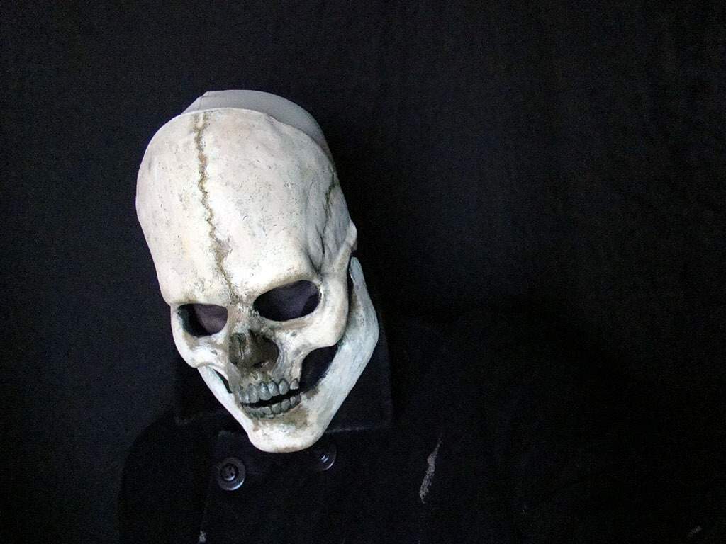 1024x768 Sid Wilson Wallpaper