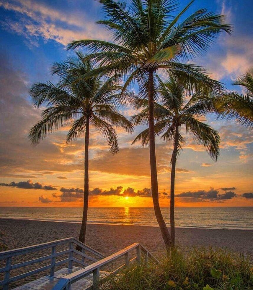 857x980 Good morning, Miami by kimohdr ☀️ ☀️ ☀️. Sunrise beach, Beautiful sunrise, Hollywood beach
