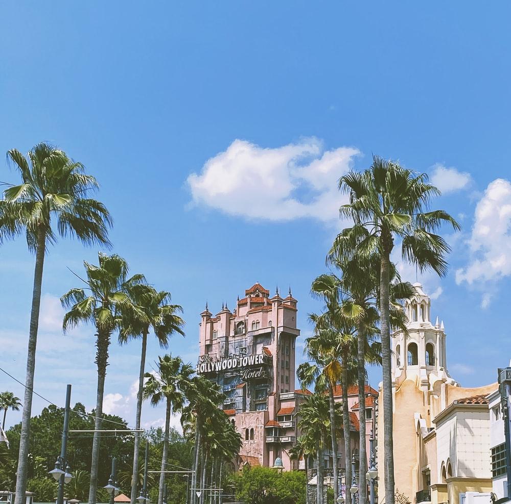1000x988 Hollywood Studios Picture. Download Free Image
