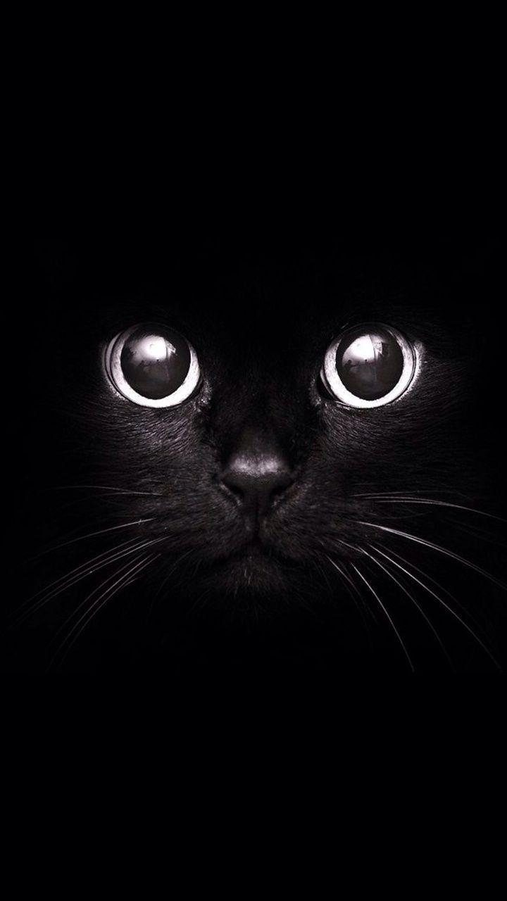 720x1280 Black Eyes Wallpaper