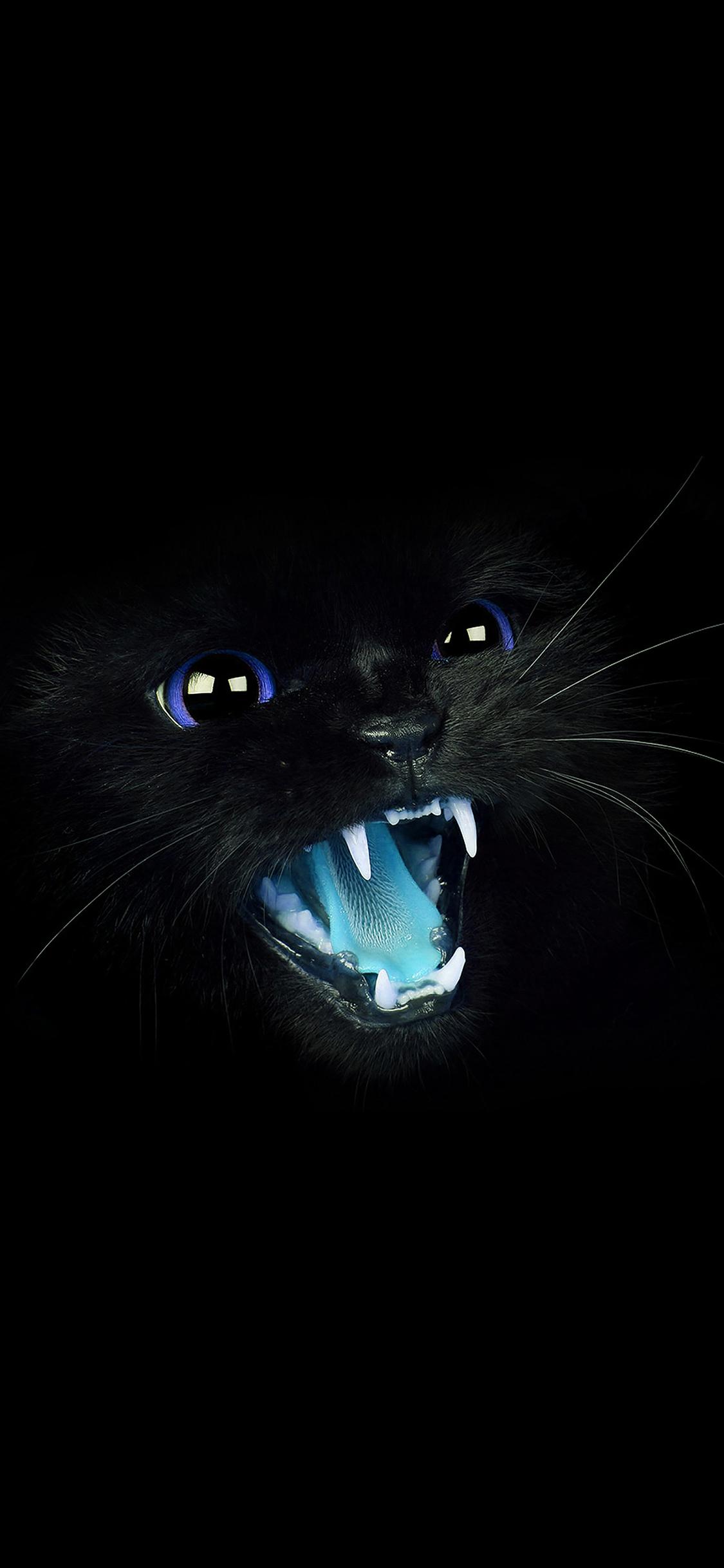 1125x2436 iPhoneXpapers cat blue eye roar animal cute