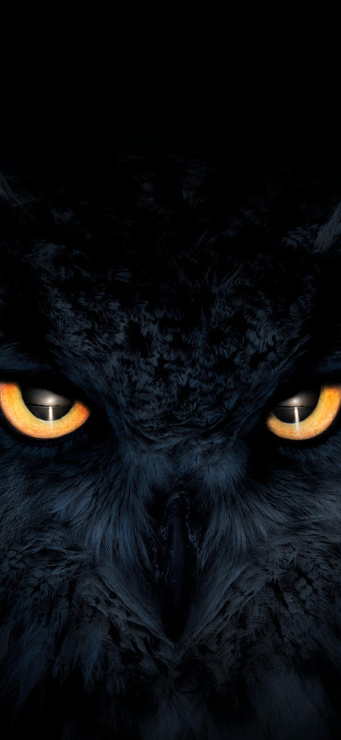 1125x2436 Owl Dark Glowing Eyes iPhone XS, iPhone iPhone X HD 4k Wallpaper, Image, Background, Photo and Picture