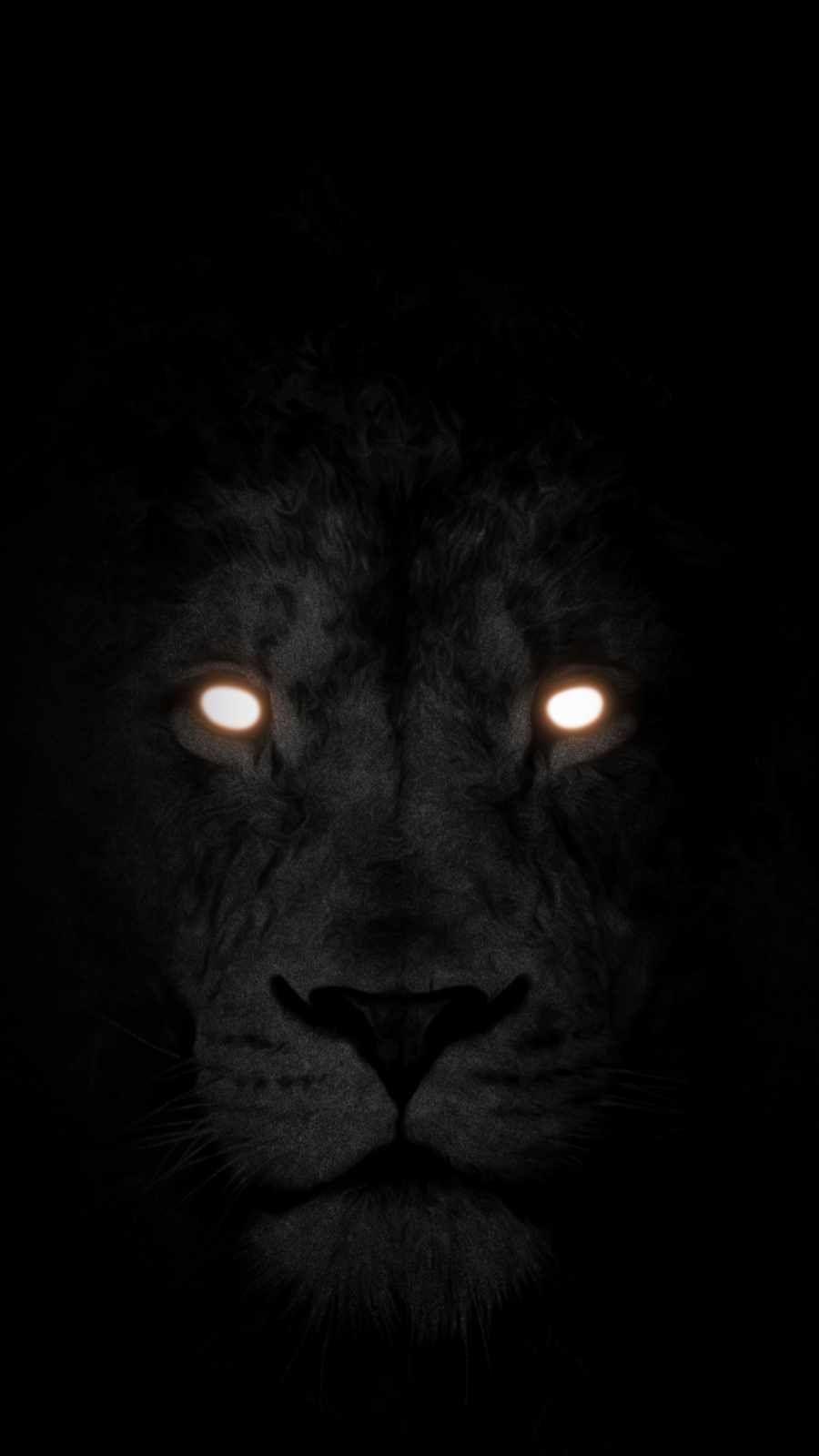 900x1600 Black Tiger Eyes Wallpaper