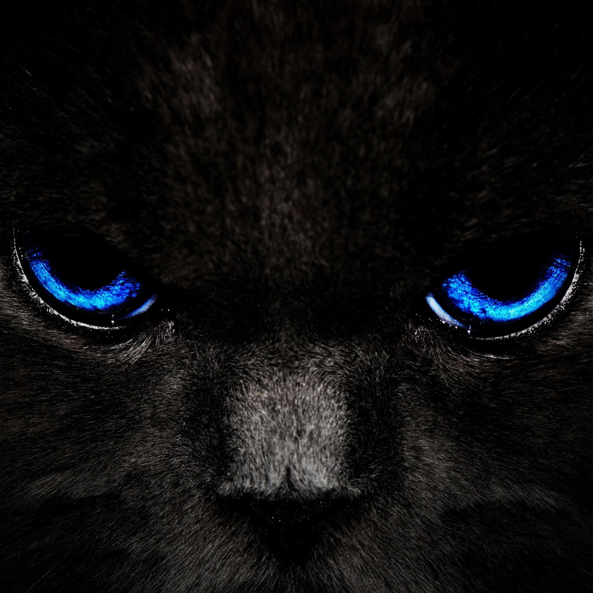 2048x2048 iPad HD Wallpaper Dark Wallpaper 4k HD Wallpaper