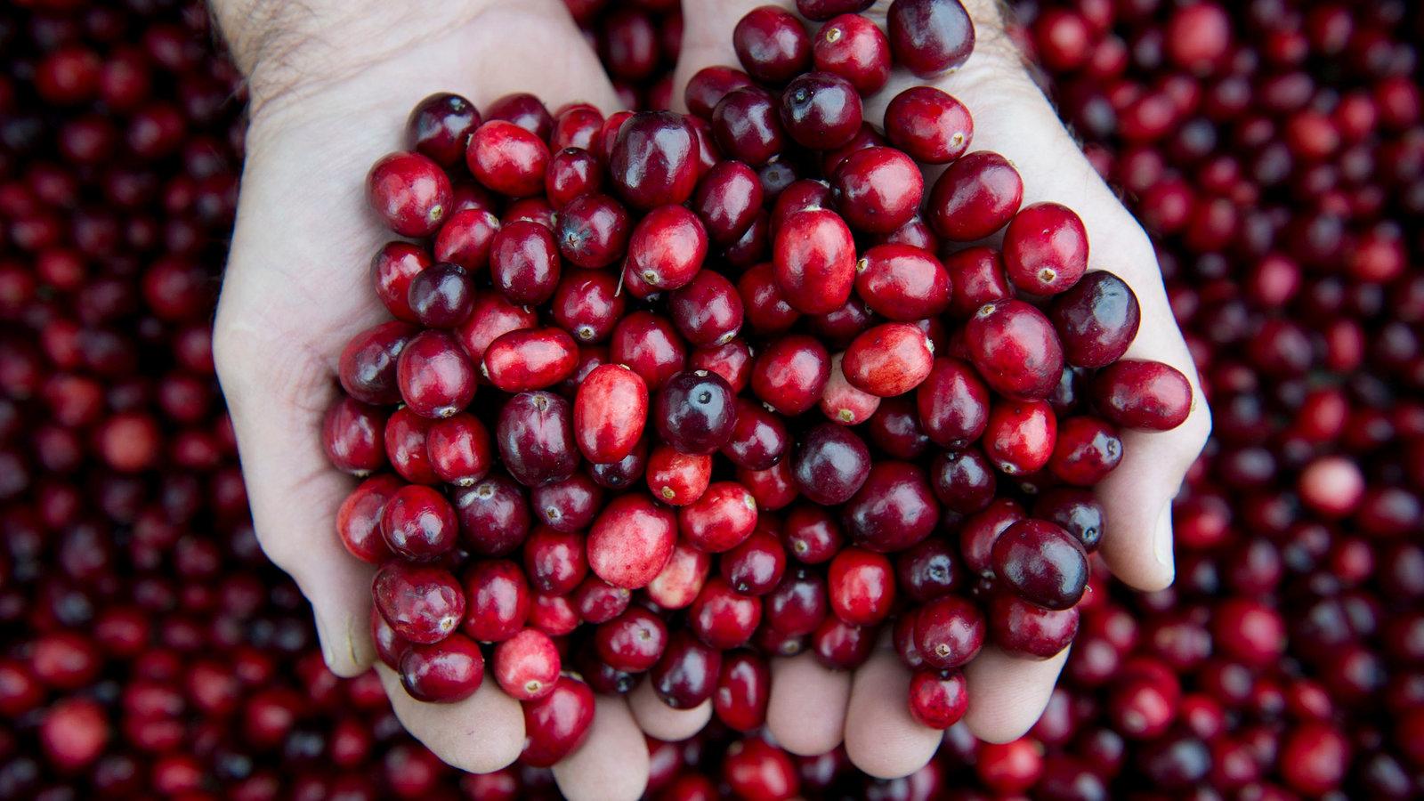 1600x900 The Cure for UTIs? It's Not Cranberries