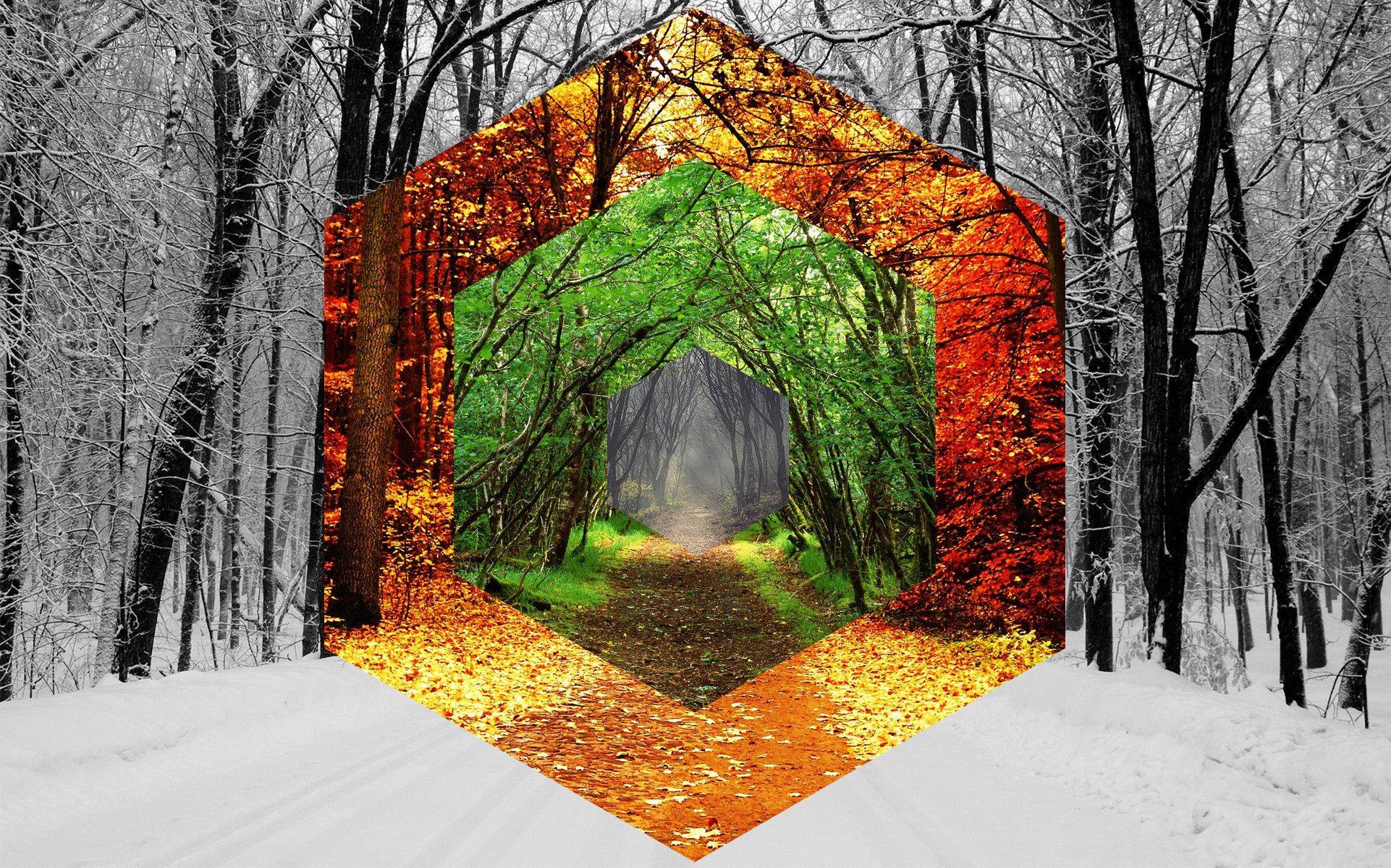 1922x1200 Seasons Wallpaper