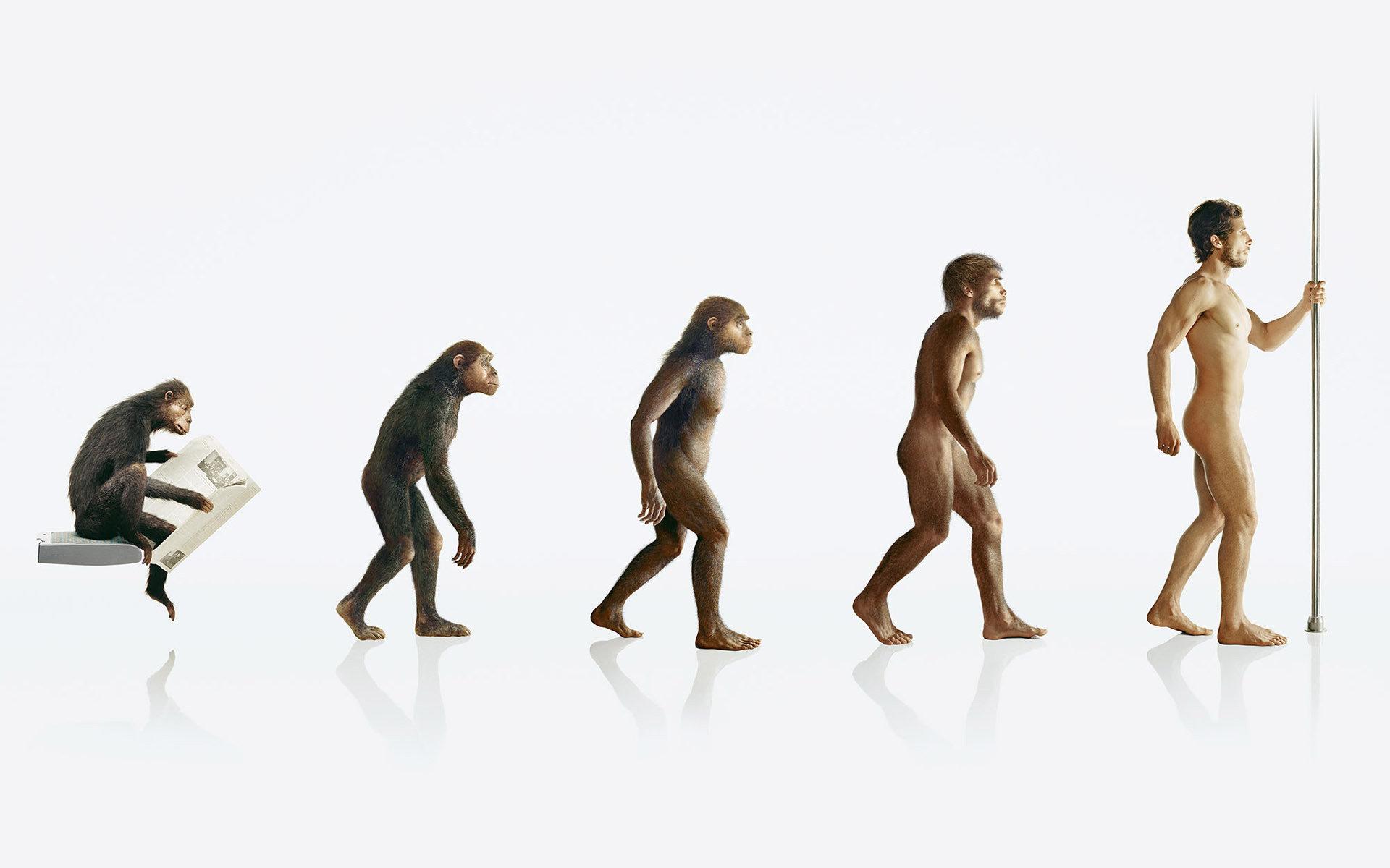 1920x1200 Evolution wallpaper HD for desktop background